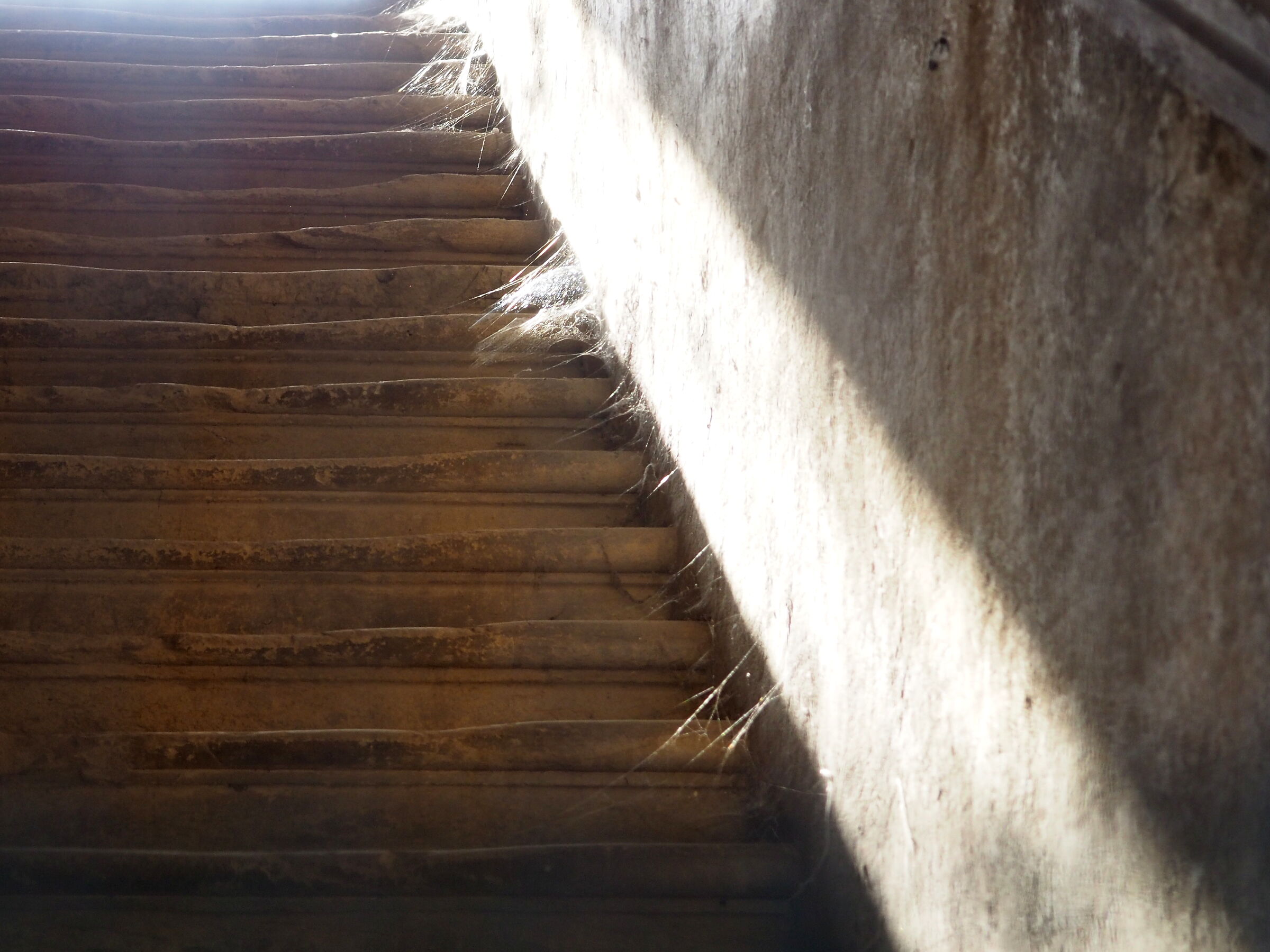 Light