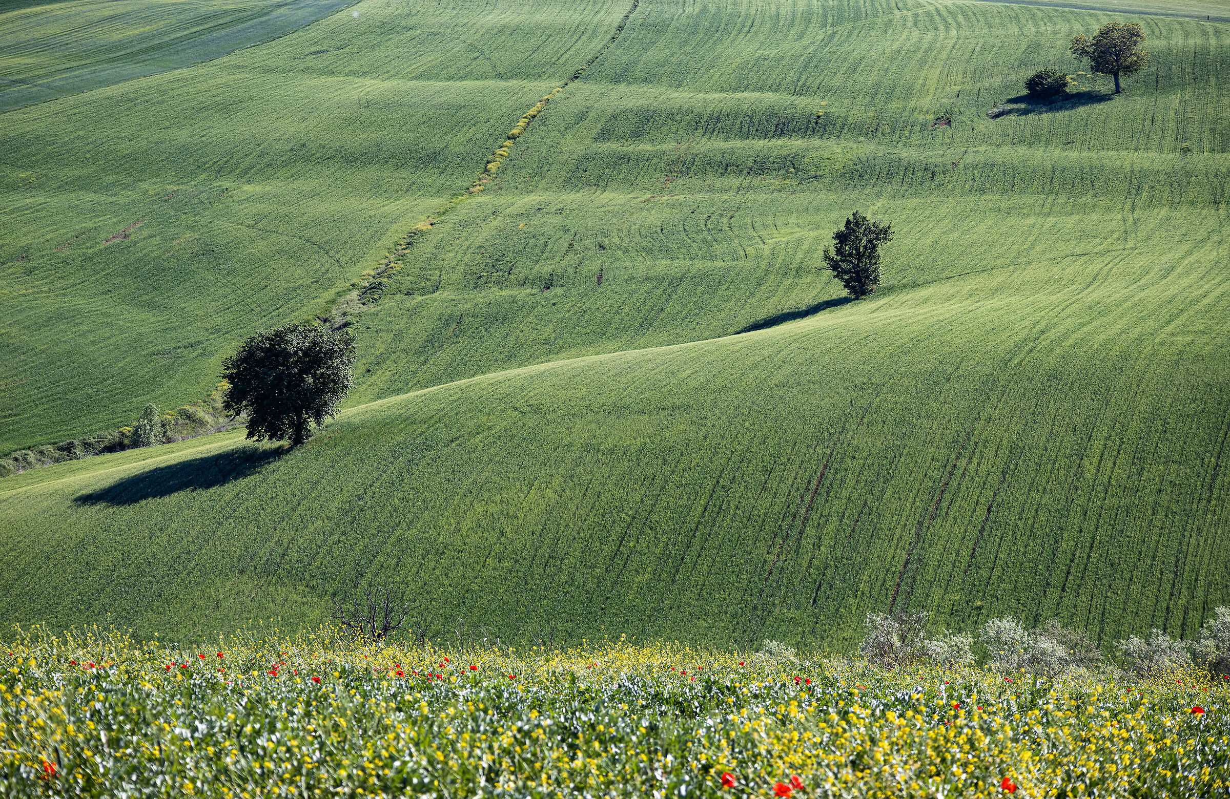 Umbrian Landscapes