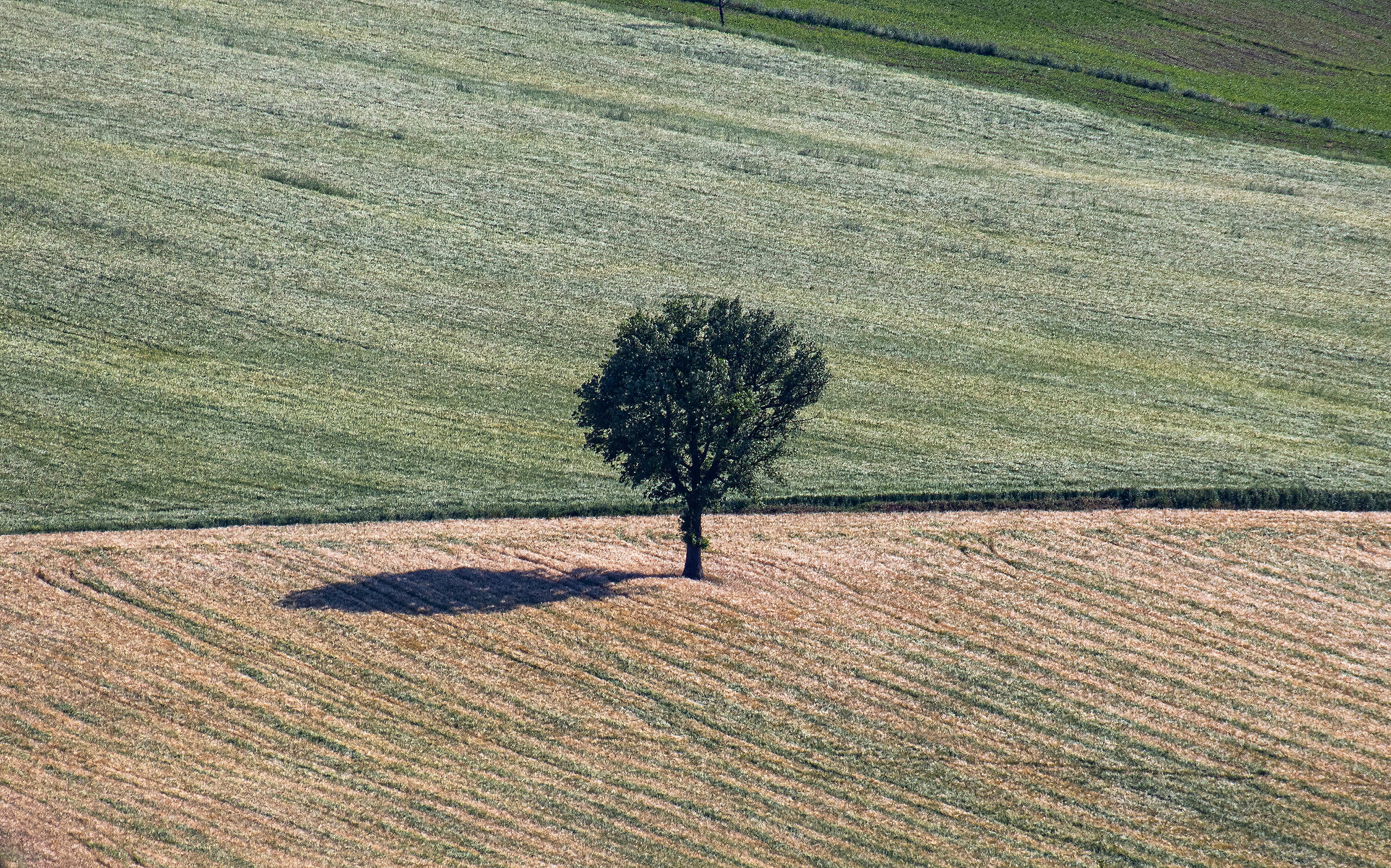 Umbrian Landscapes