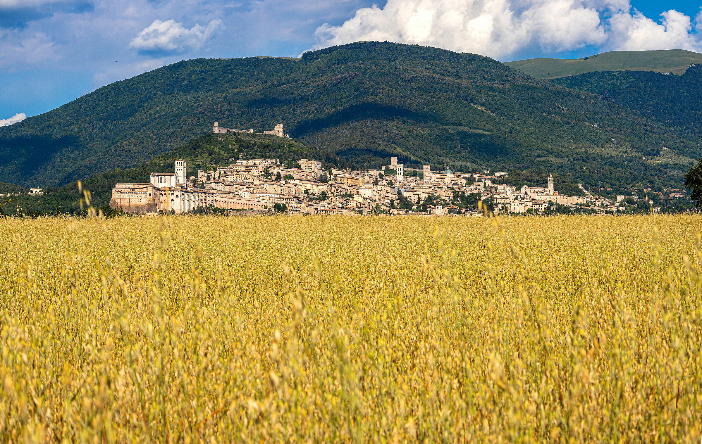 Assisi