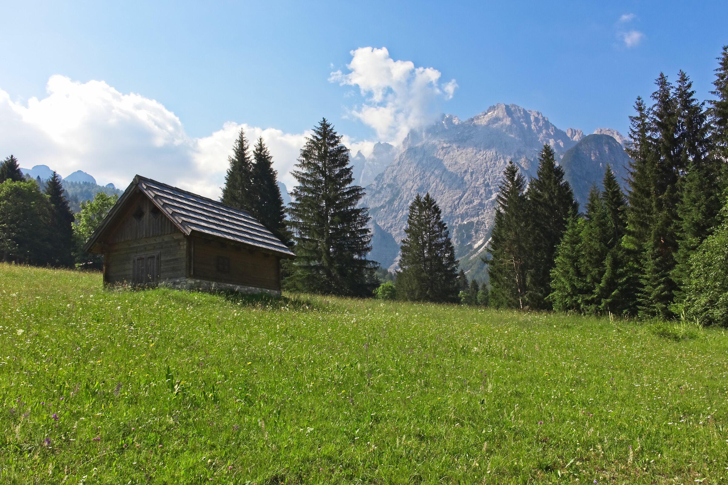 Baita nella Val Saisera