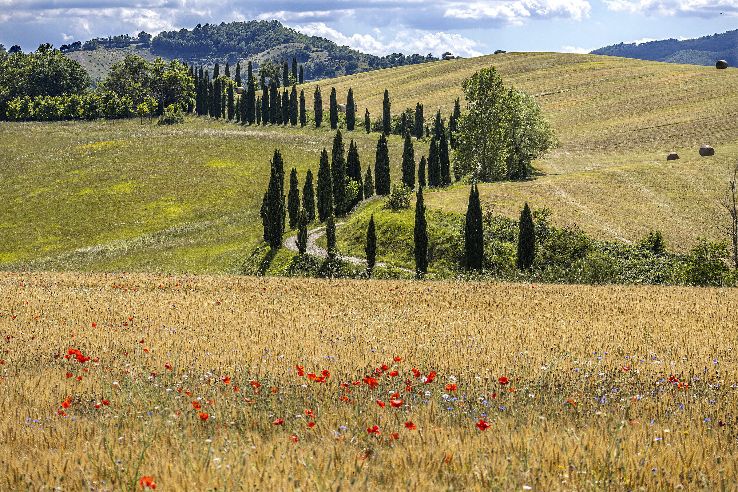 Umbrian Landscapes