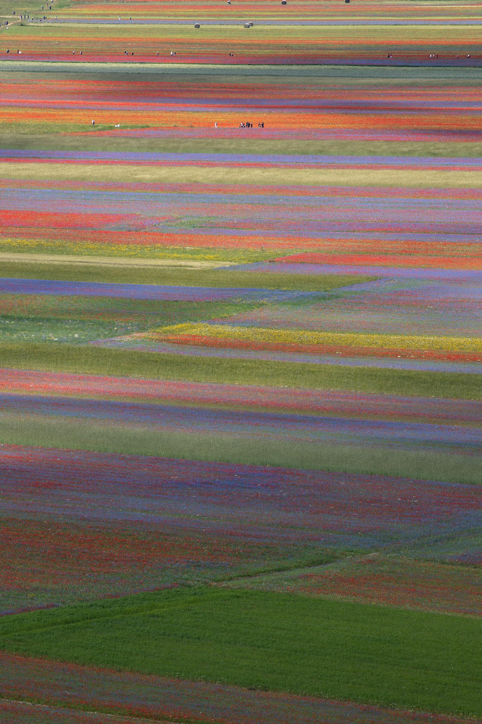 Un Classico di Castelluccio 2020