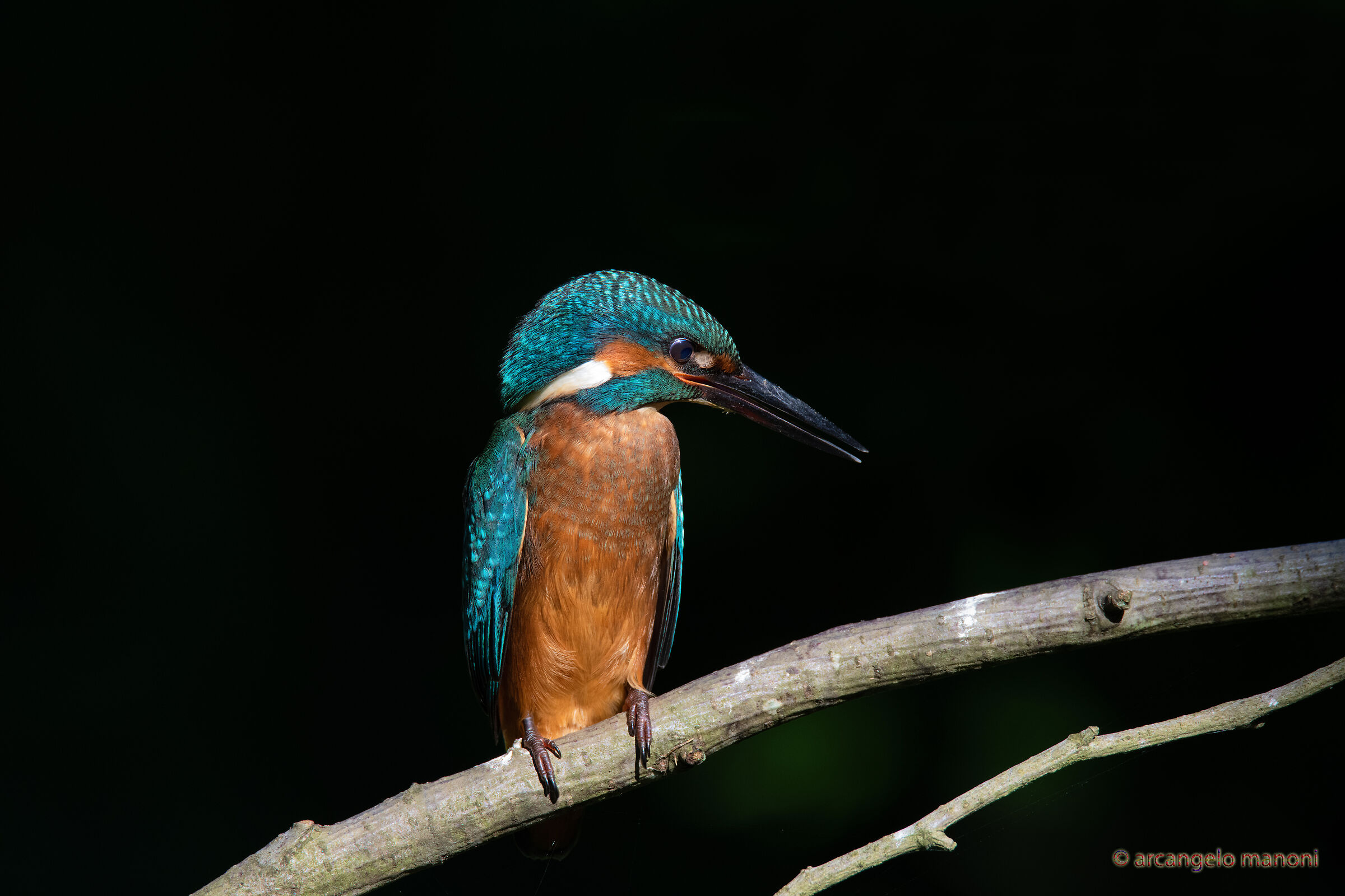 Under the July sun in the ravines of the stream