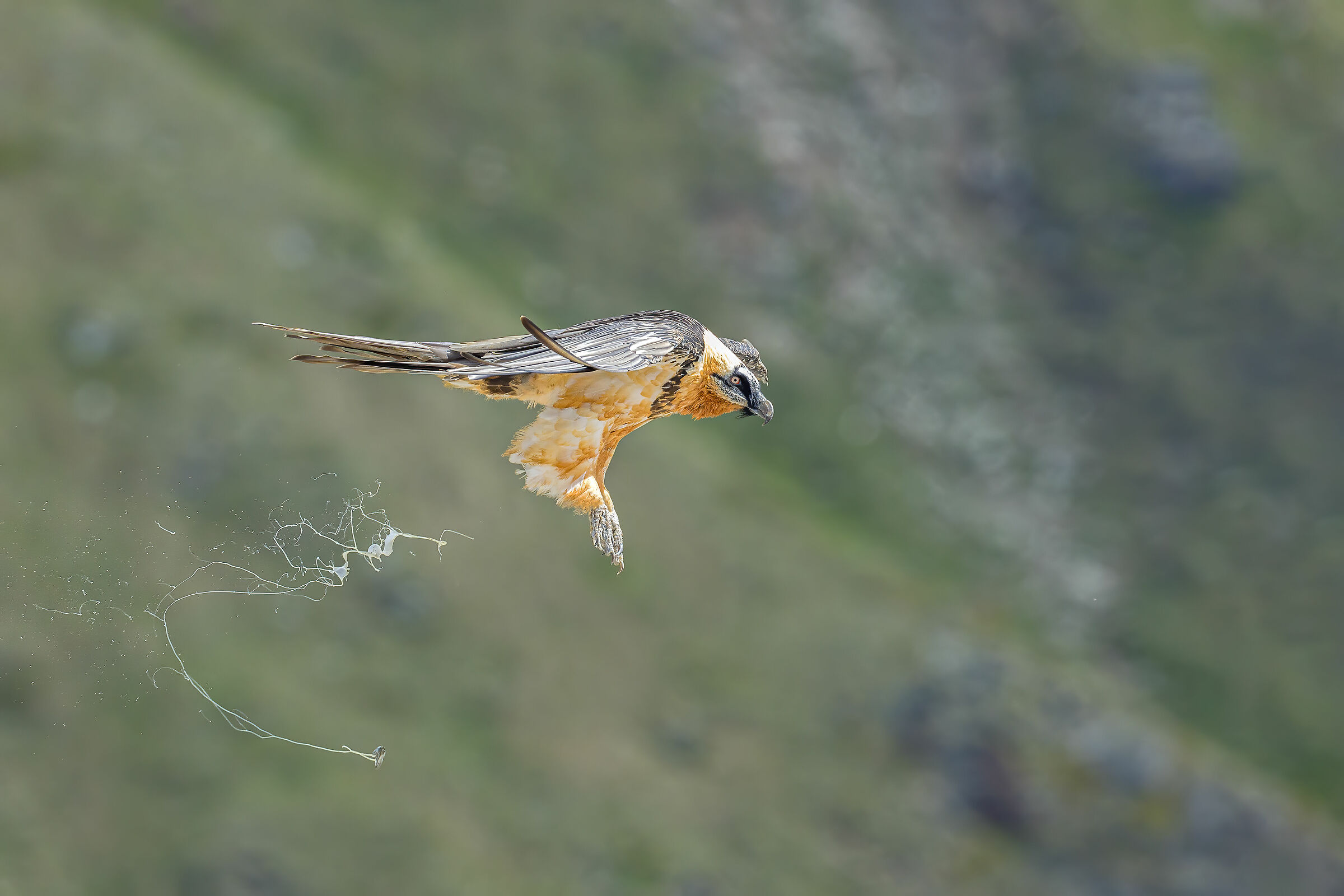 Giù il carrello e sganciare la bomba!