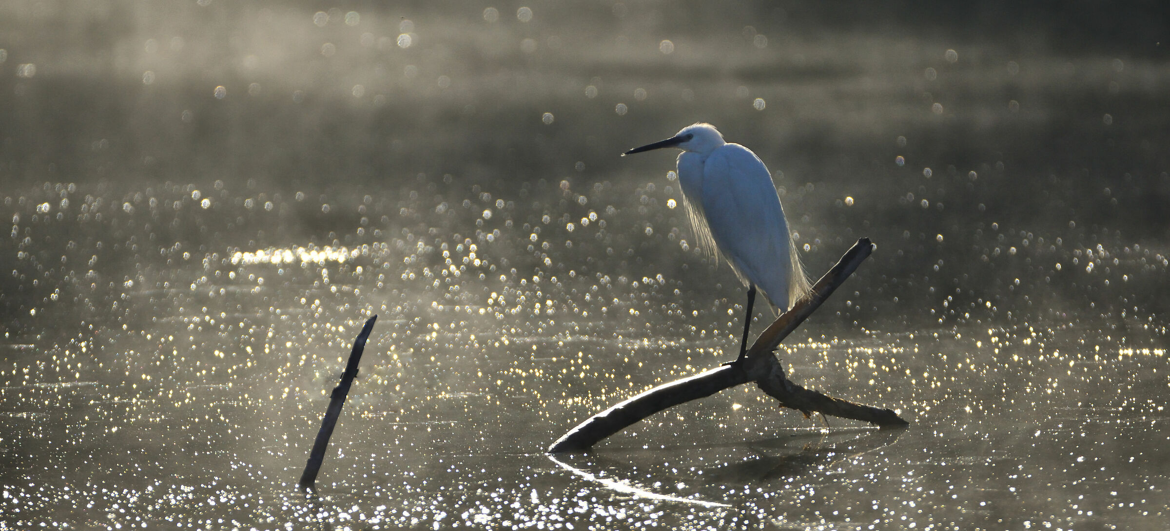 Gazzetta - Magia all'alba