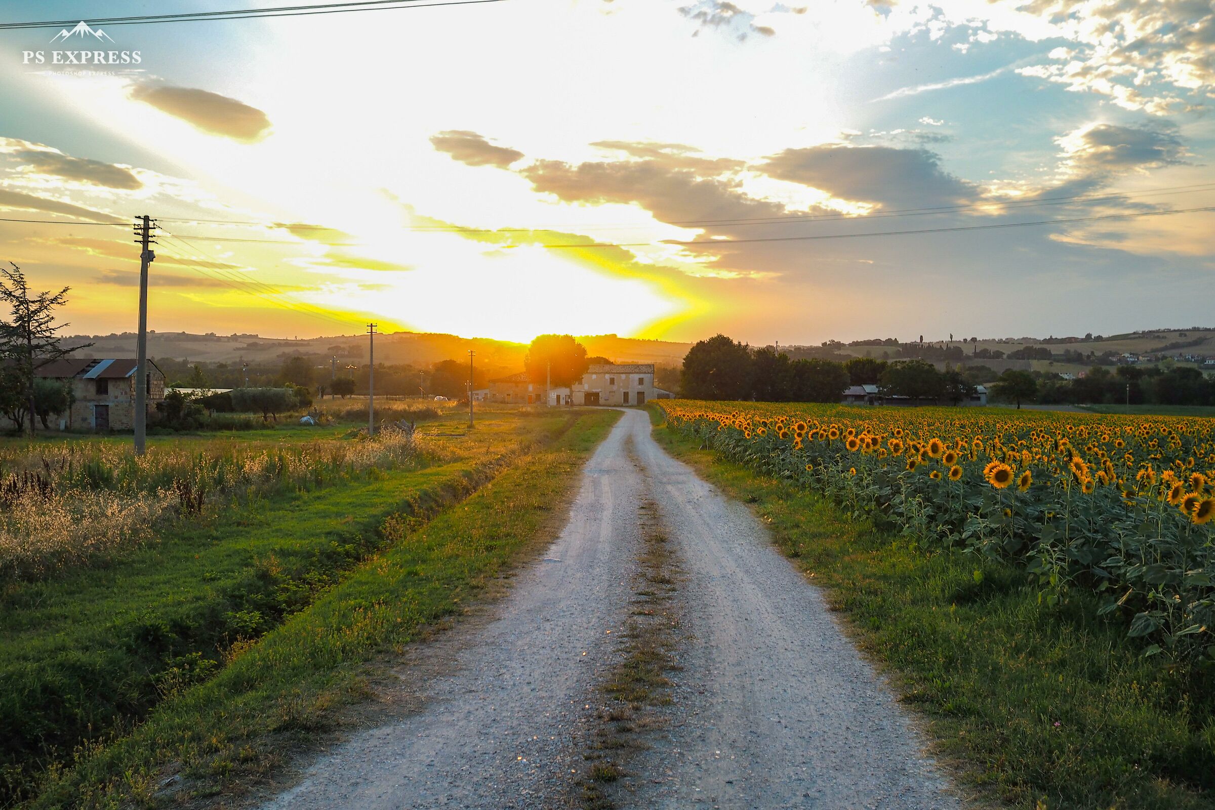 La campagna marchigiana
