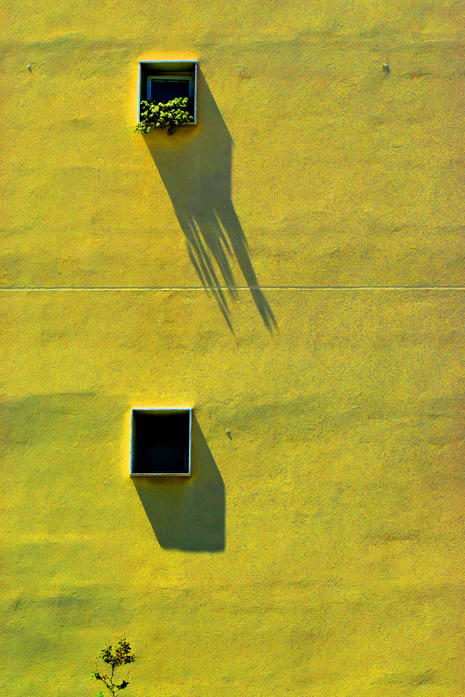 Condominium minimalism