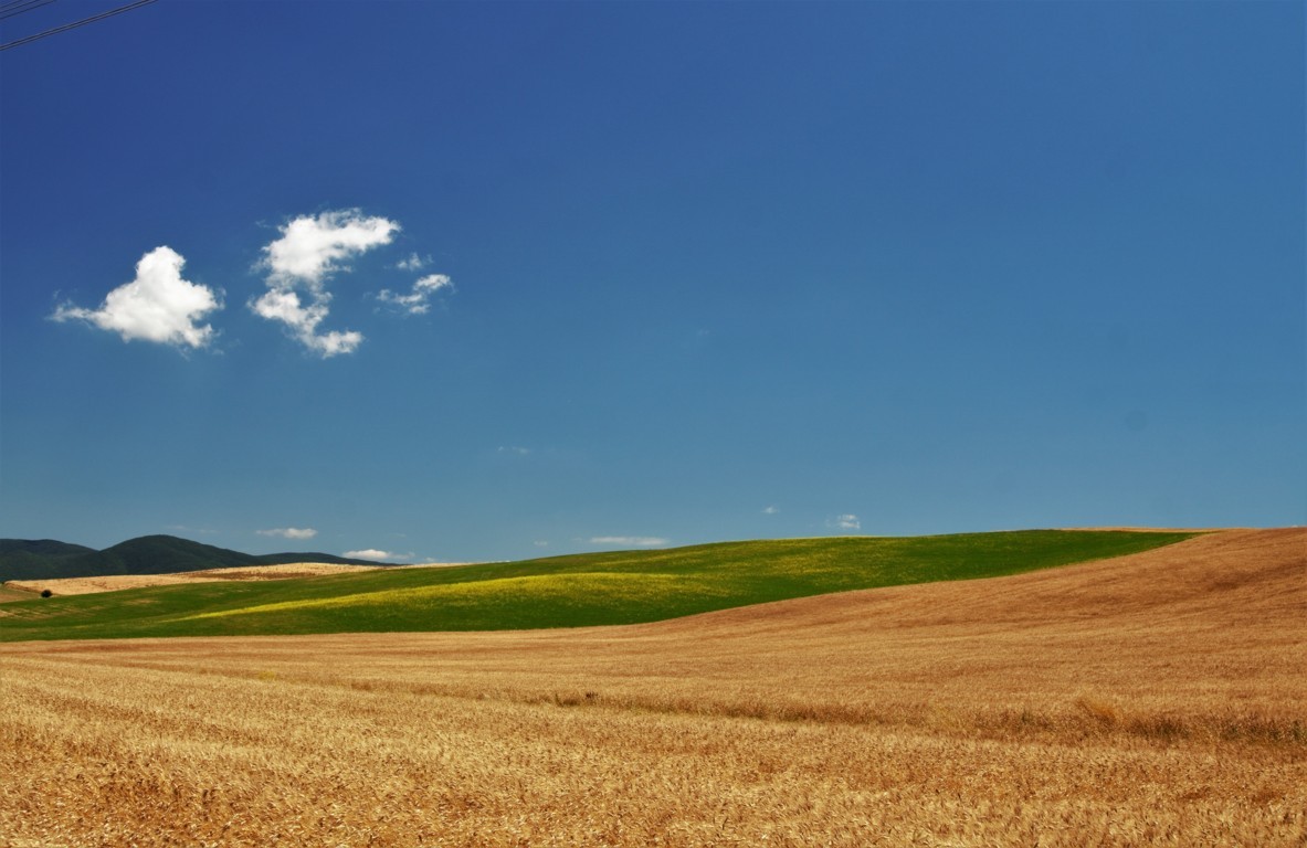 Campagna toscana.