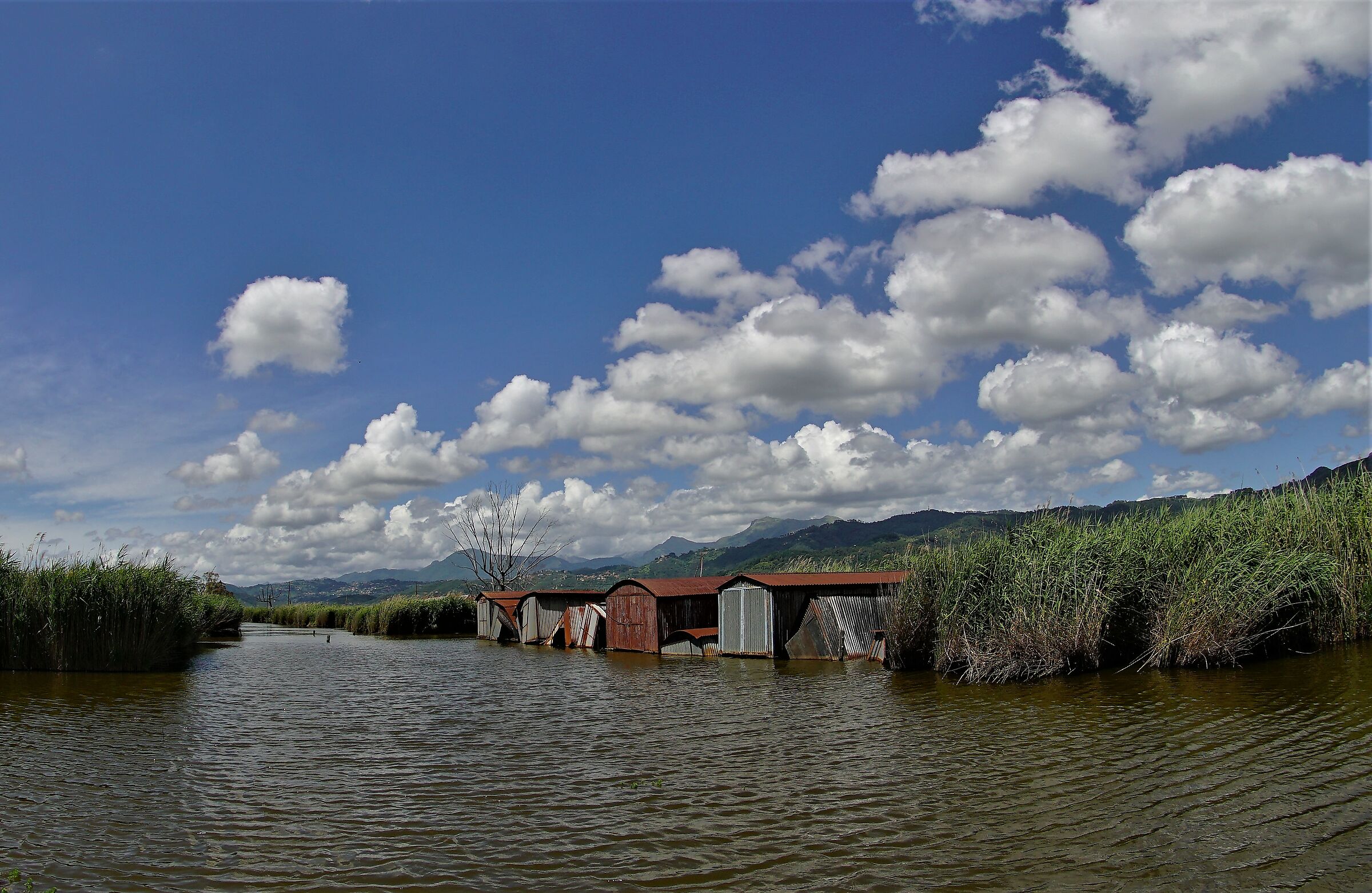 Prospettive. Lago di Massaciuccoli.