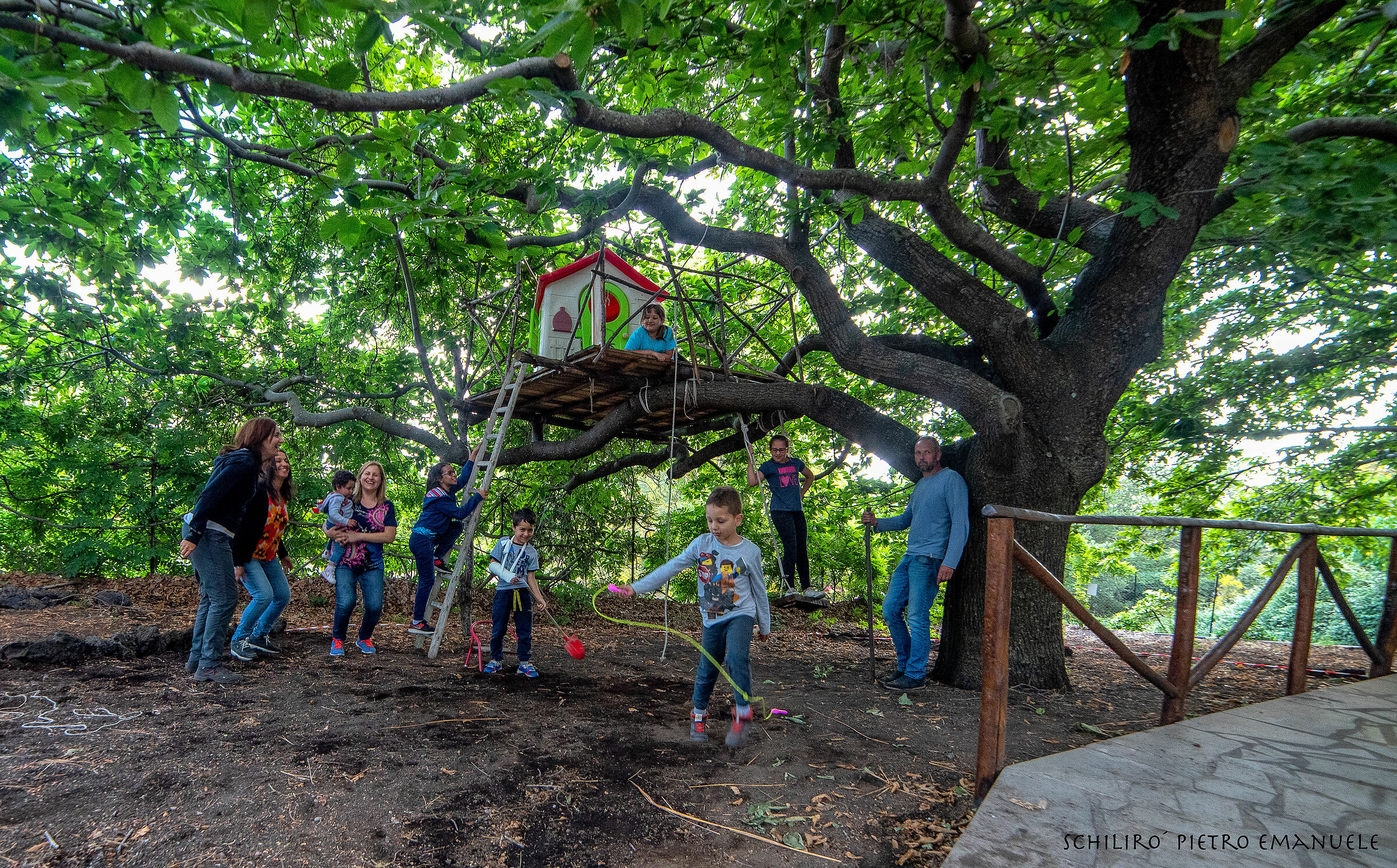 The Tree House - and the changing emotions