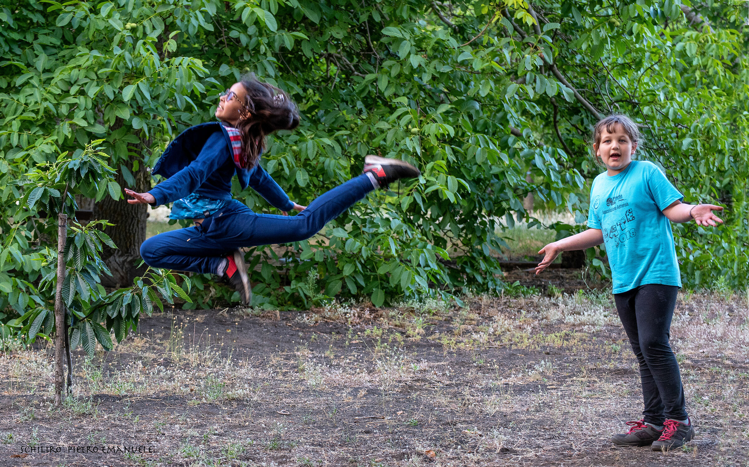 But in your opinion ... Fly