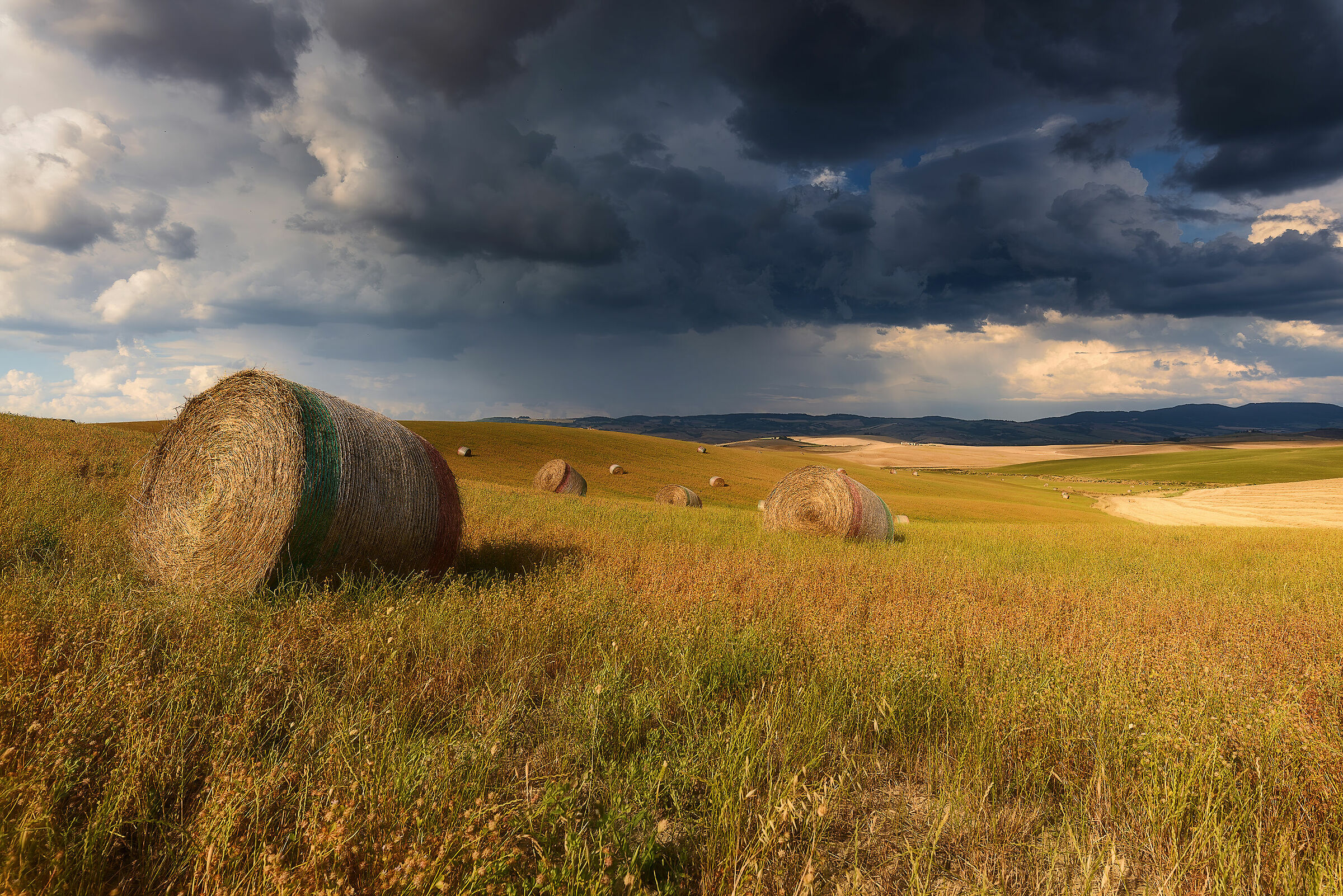 Campaign before the storm