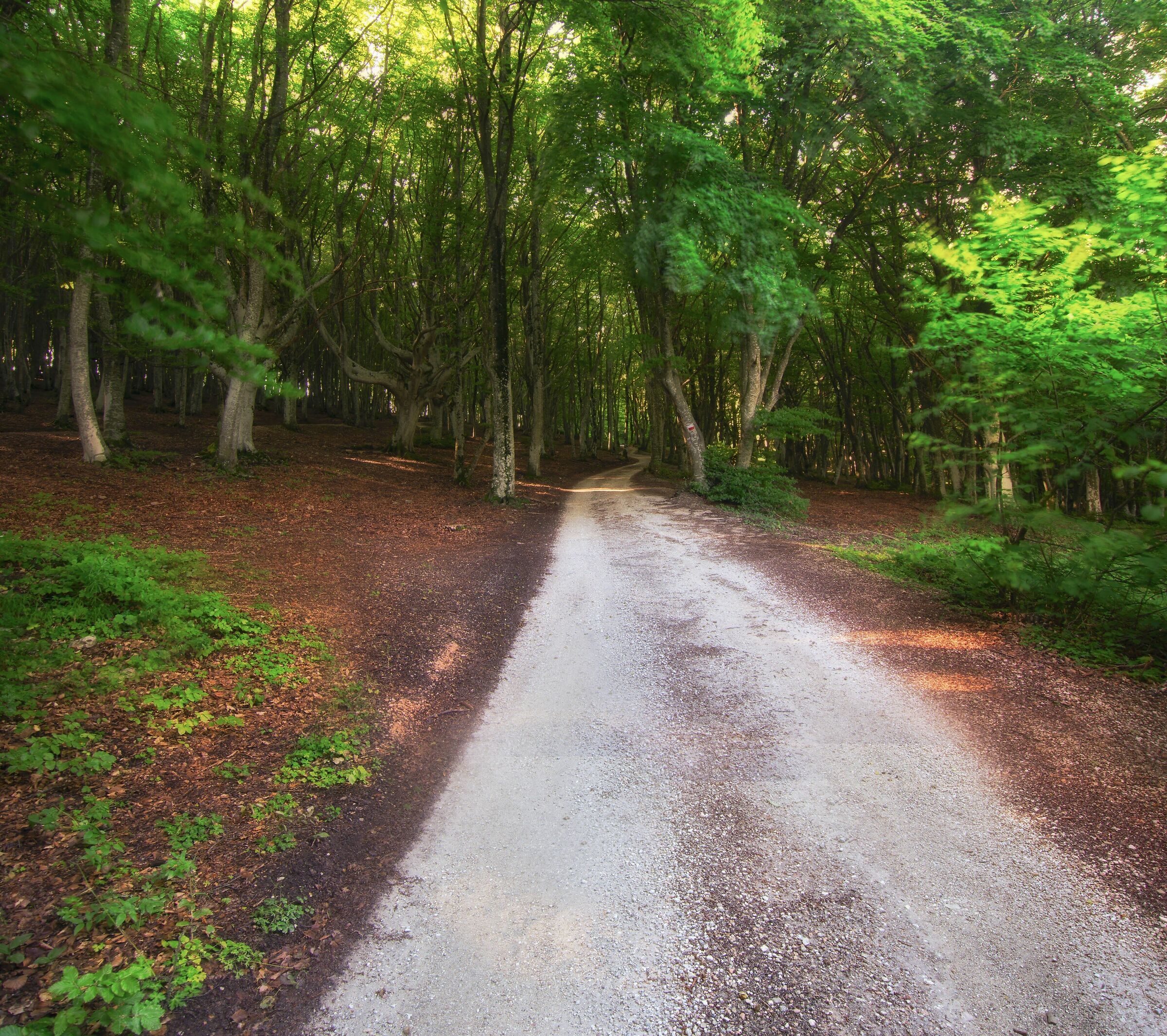 Canfaito panoramica verticale
