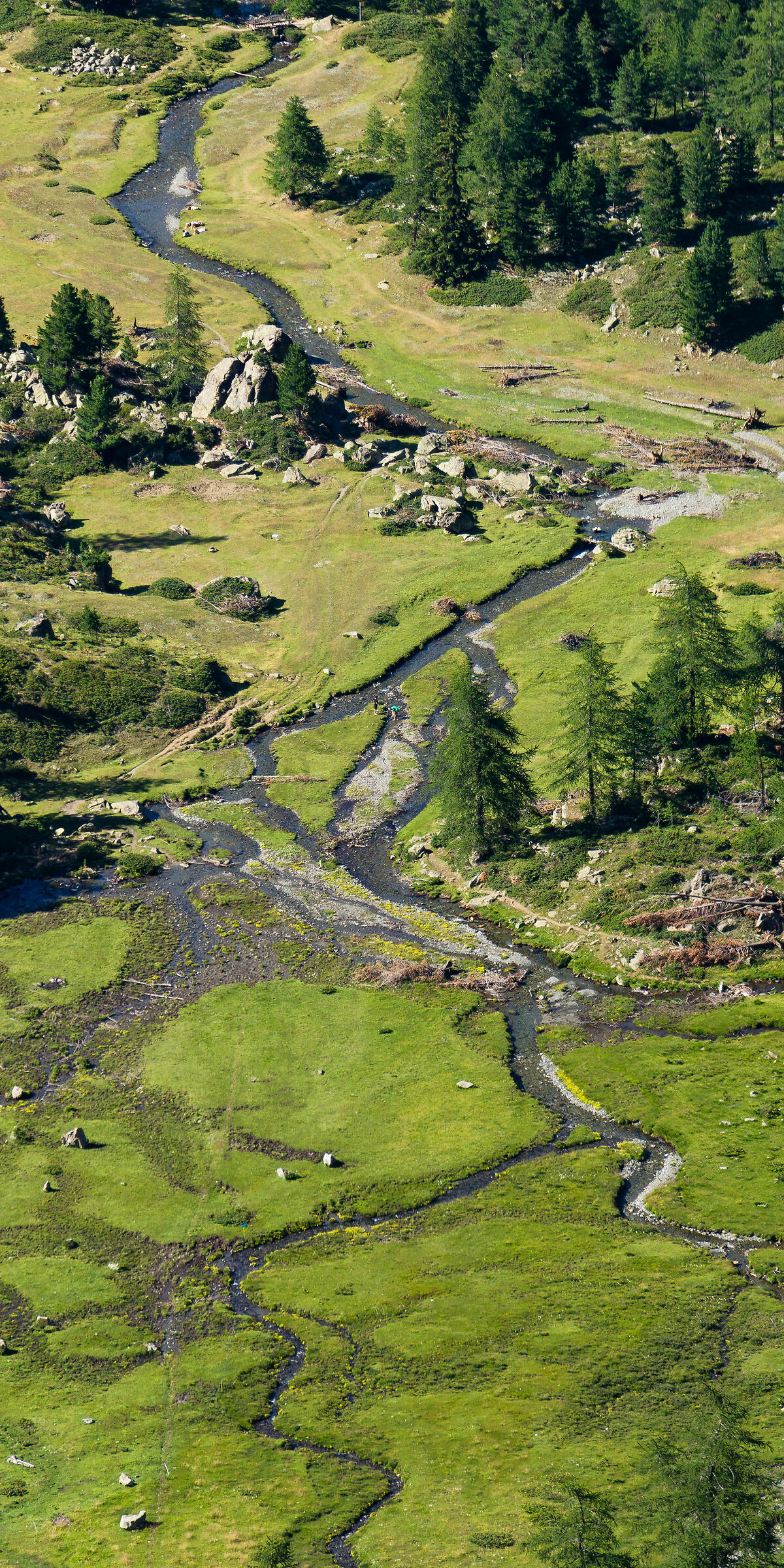 Climb to Mount Emilius