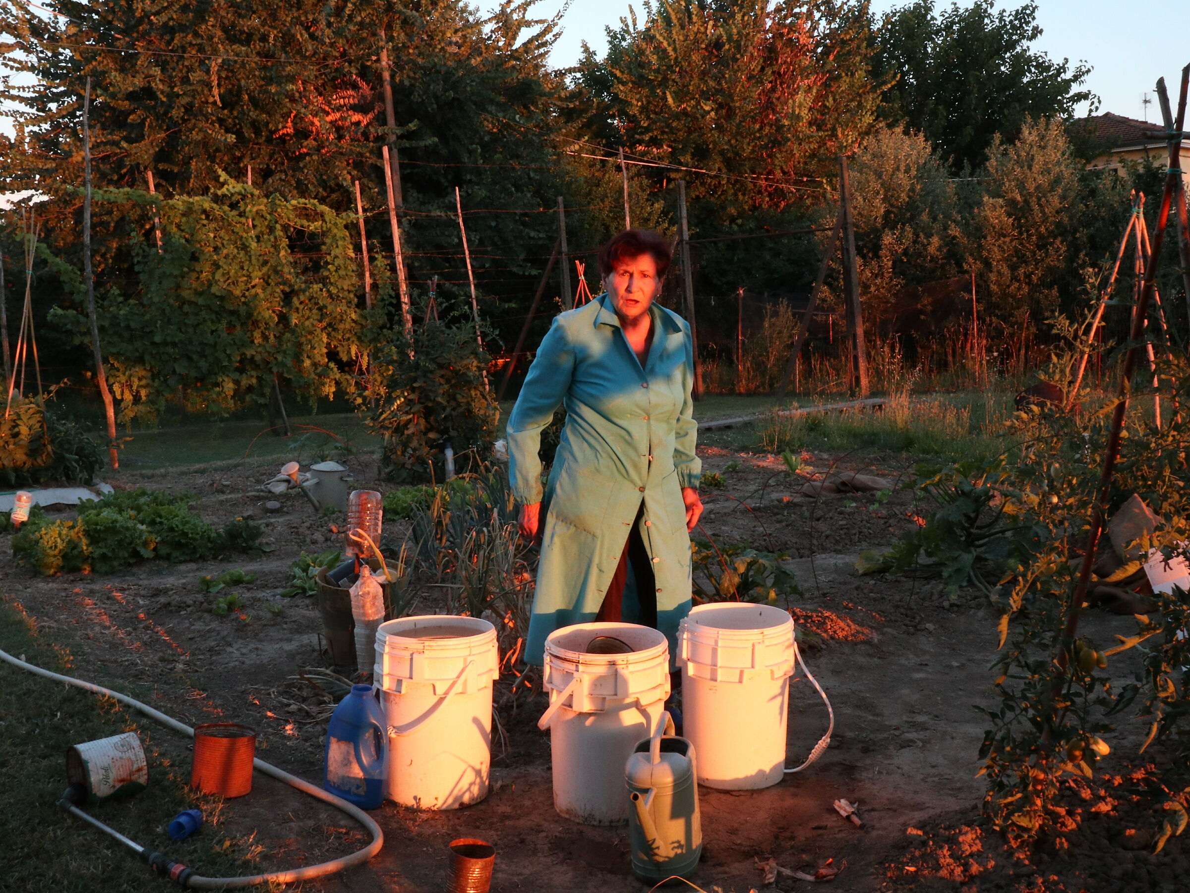 Nell'orto al tramonto