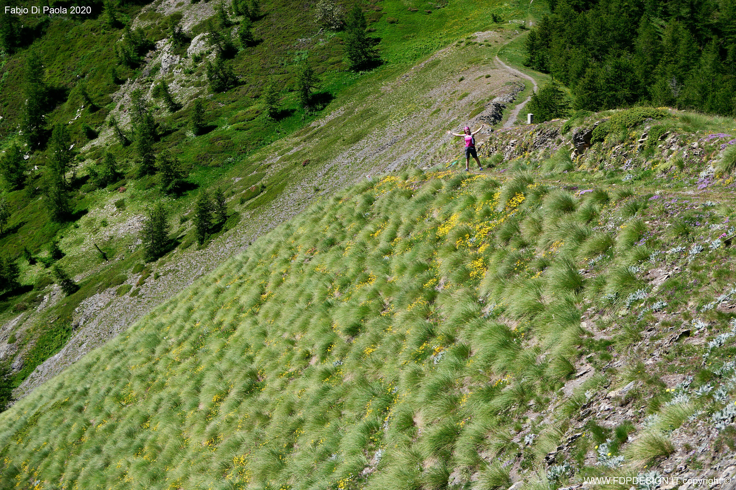 greetings from the trail