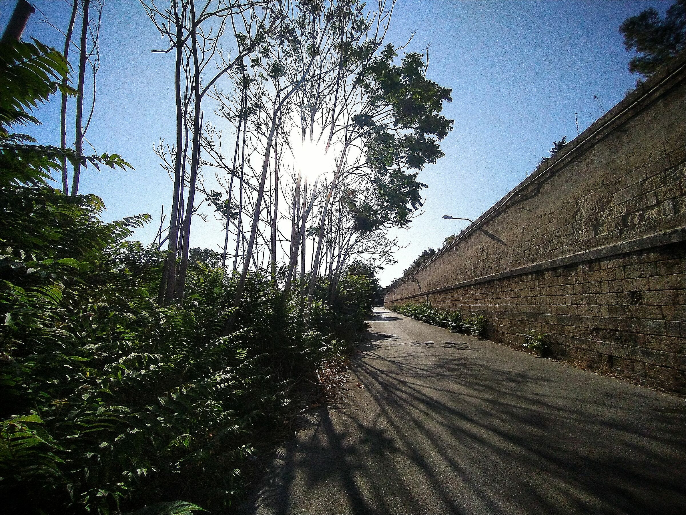 Una bella giornata di estate