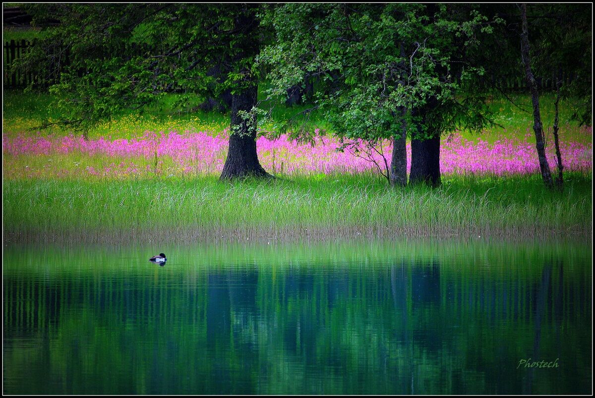 The colors of Anterselva