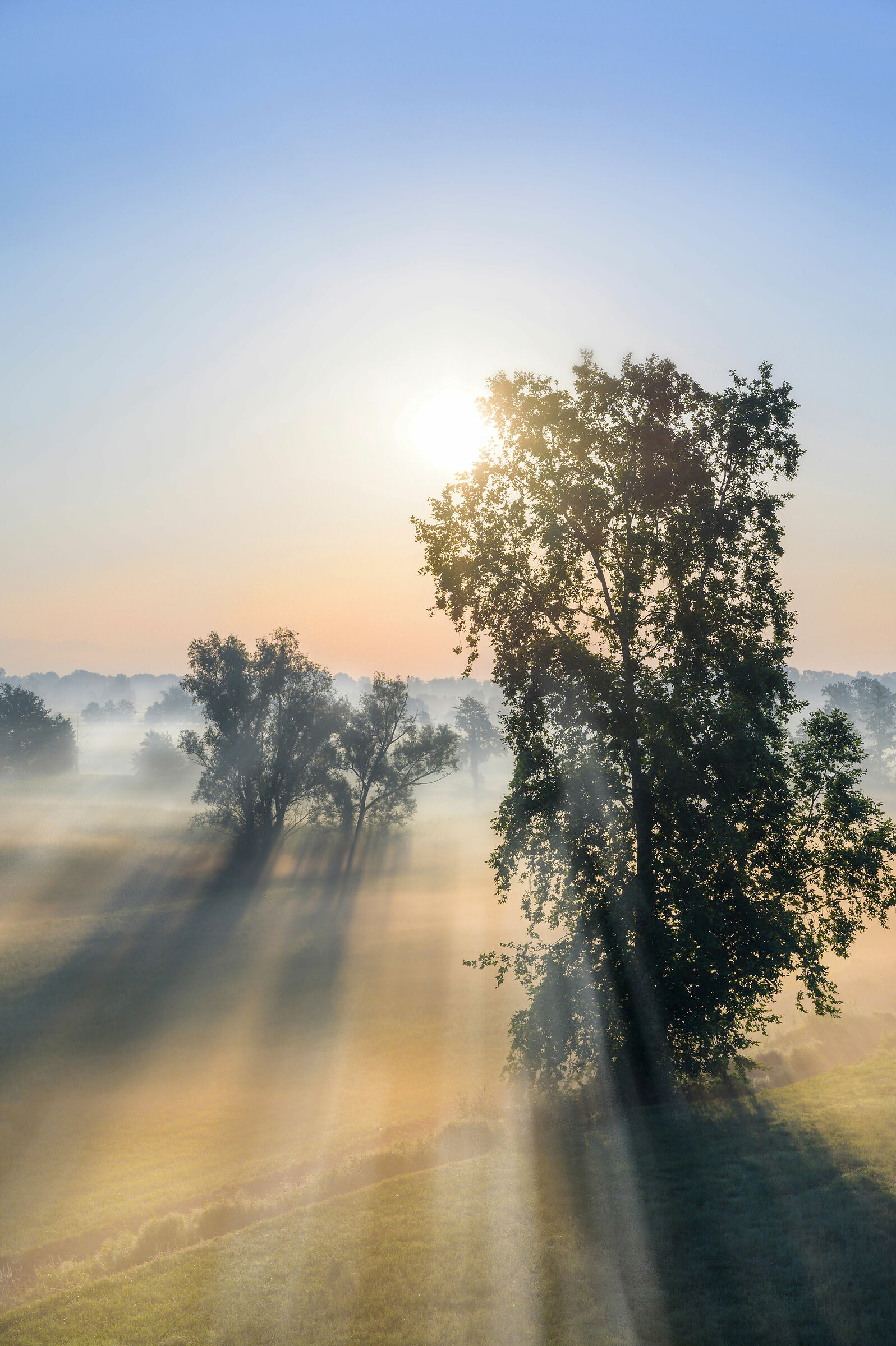 Lowland Lands