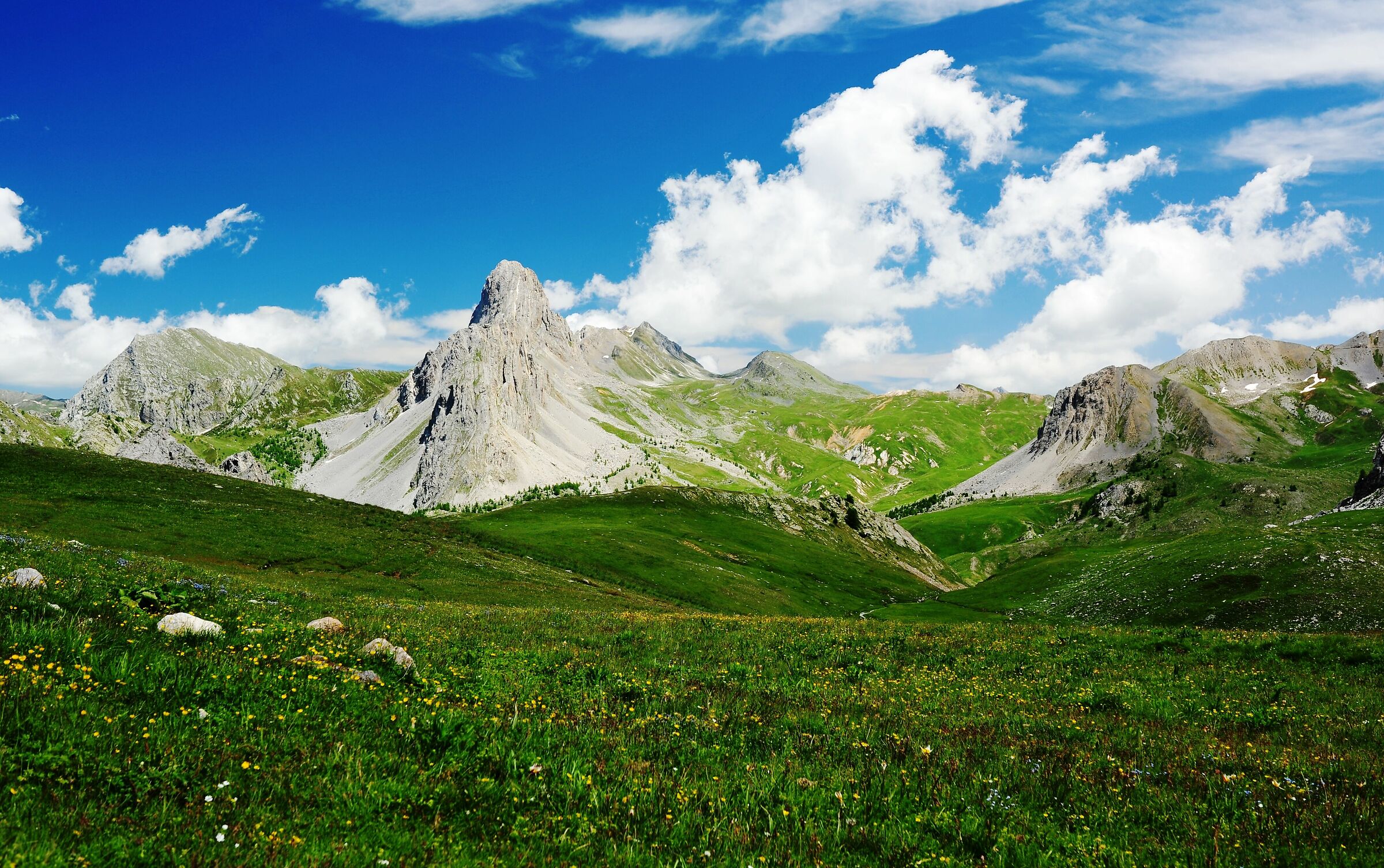 Prati fioriti e nuvole...
