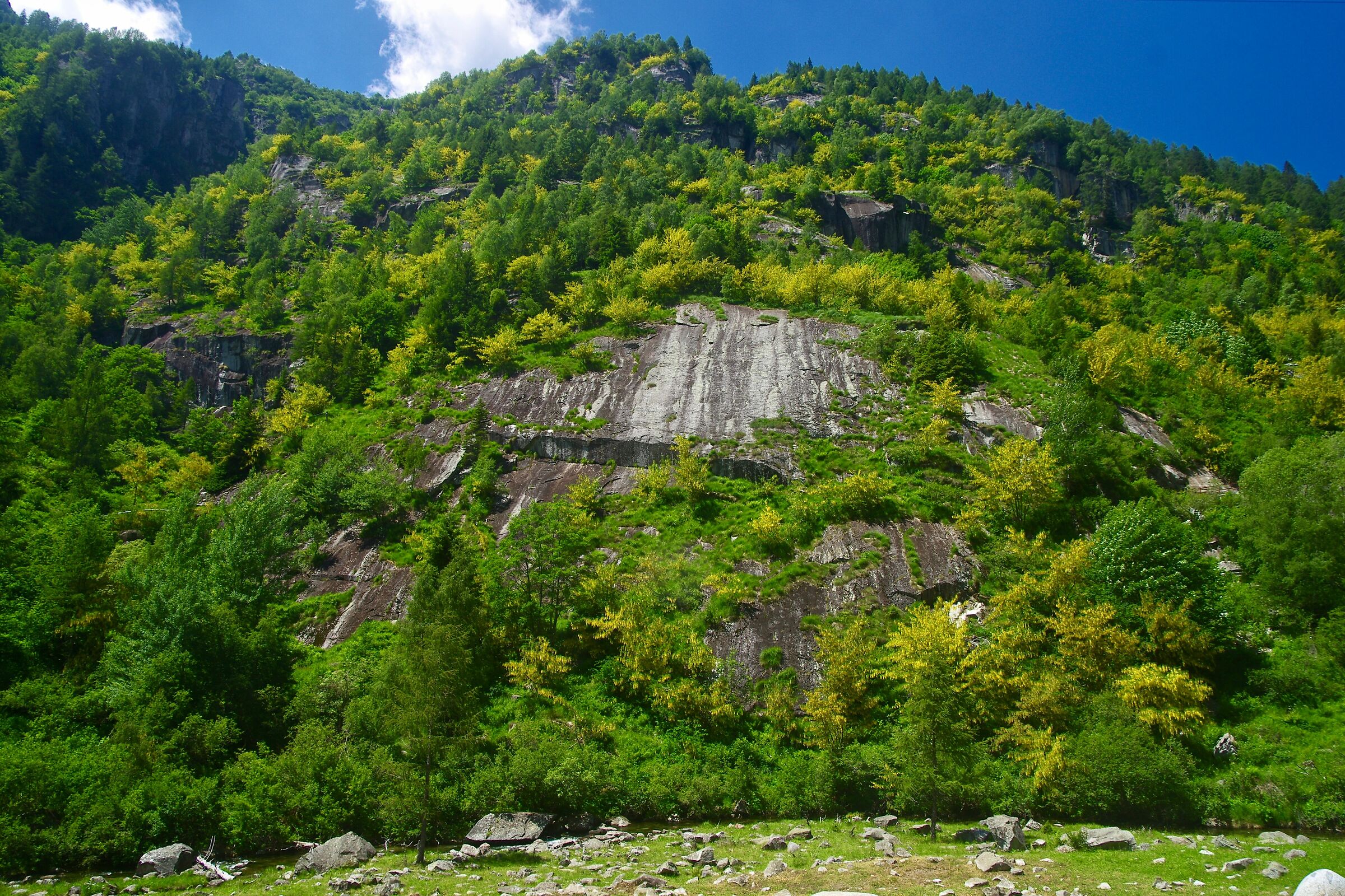 Flowering may pendant