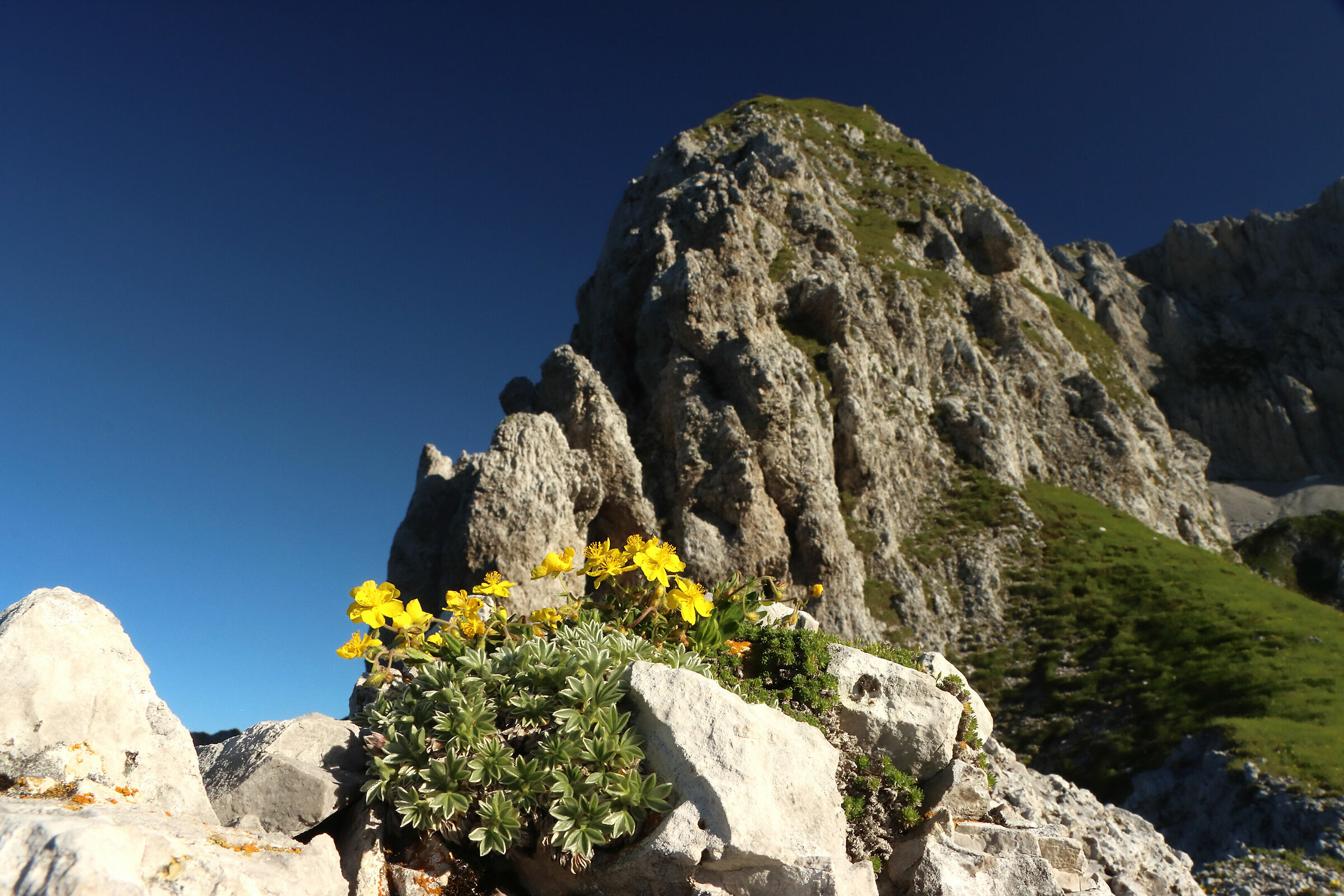 tra i picchi della Presolana