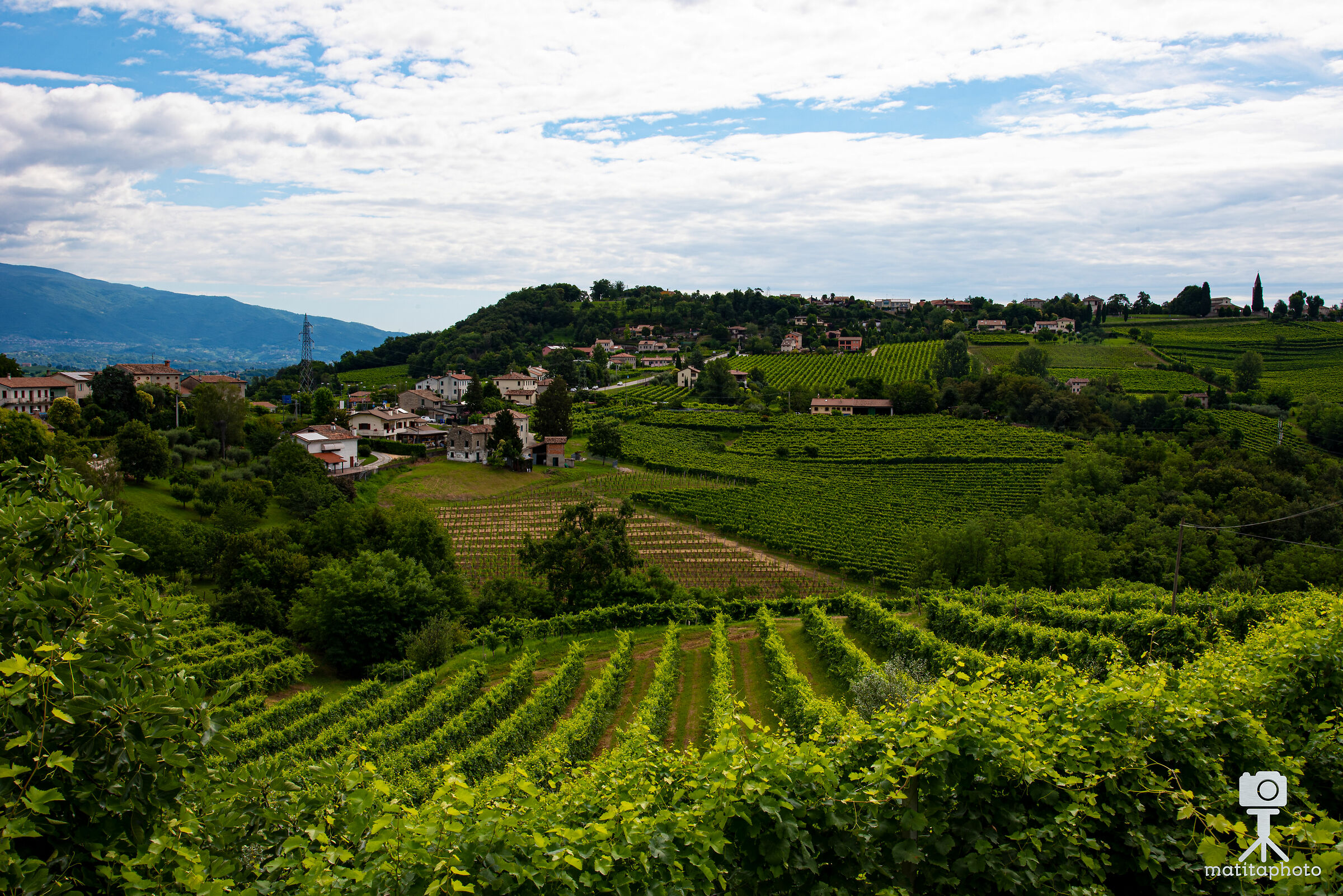 Vittorio Veneto Strada del Vino