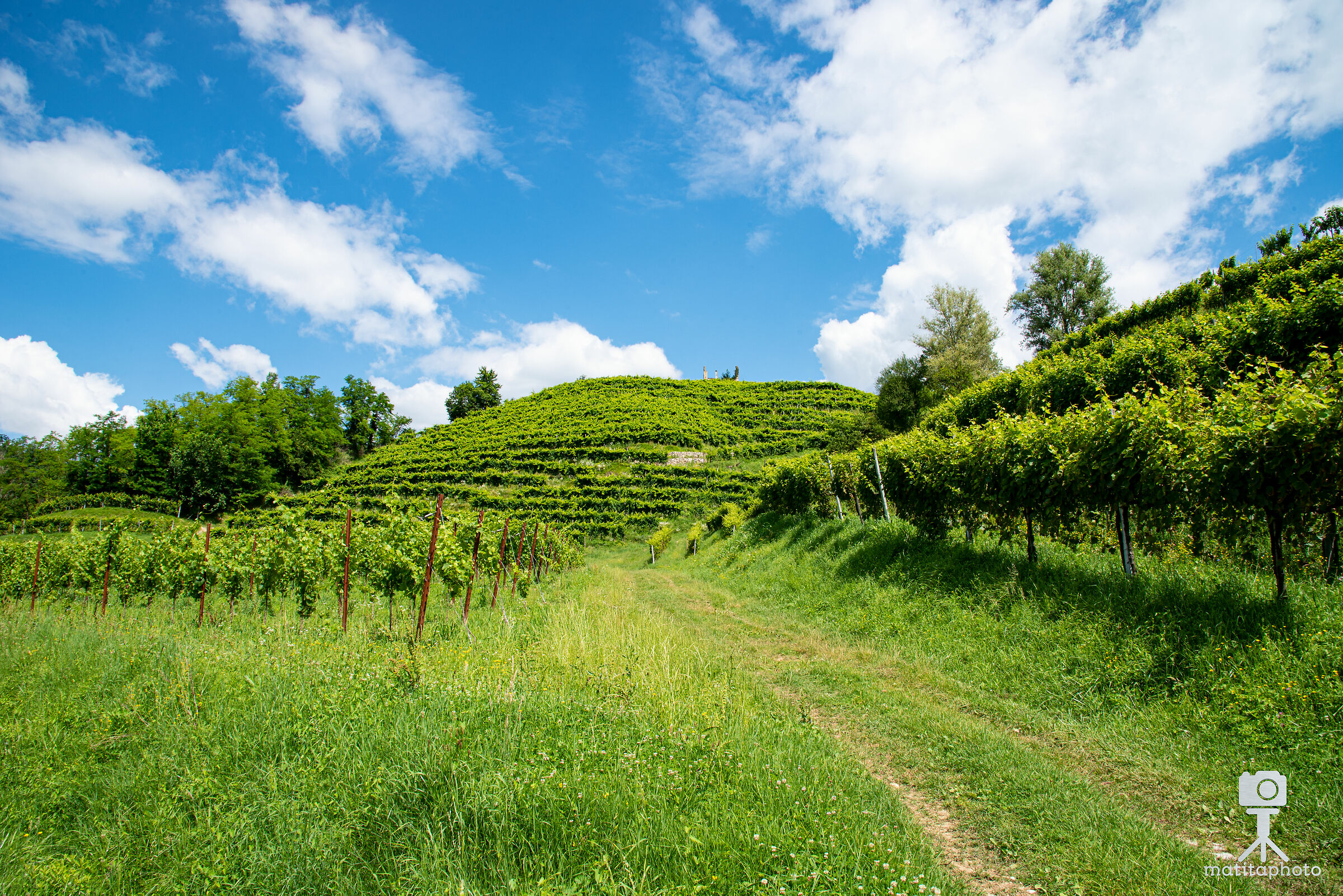 Vittorio Veneto Strada del Vino