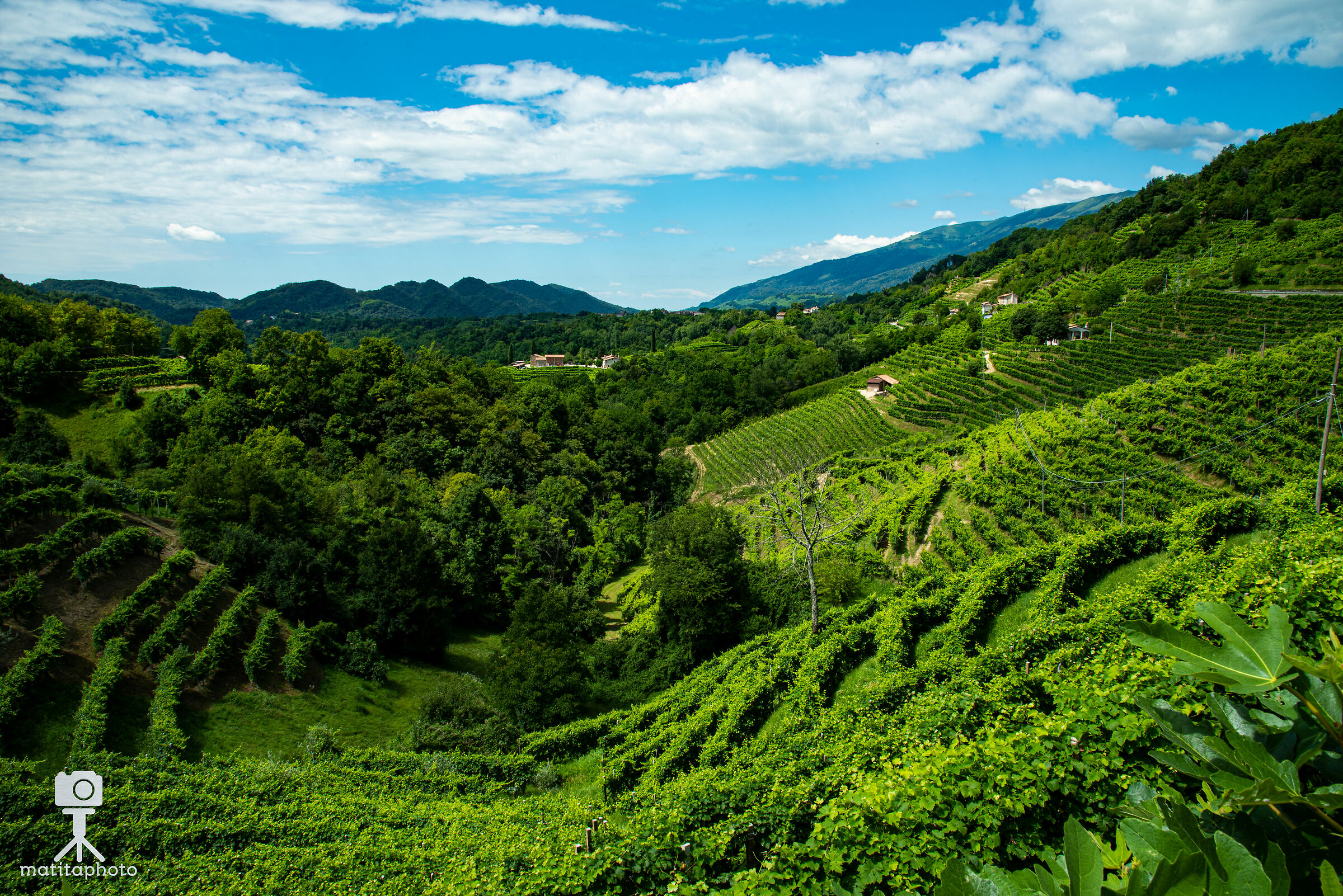 Vittorio Veneto Strada del Vino