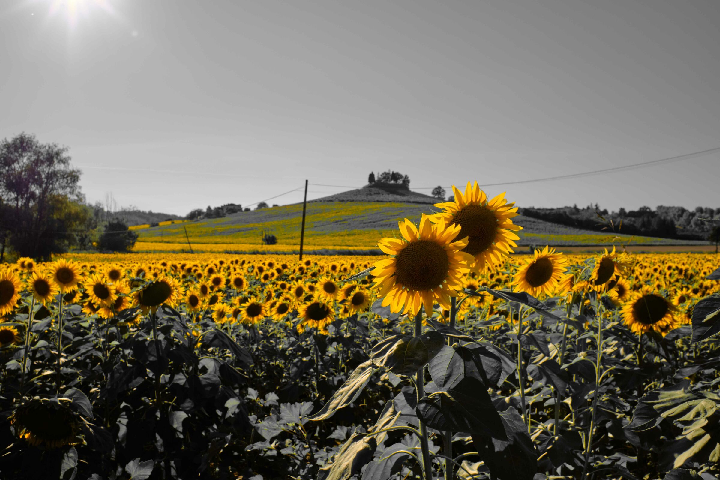 Untitled Photo