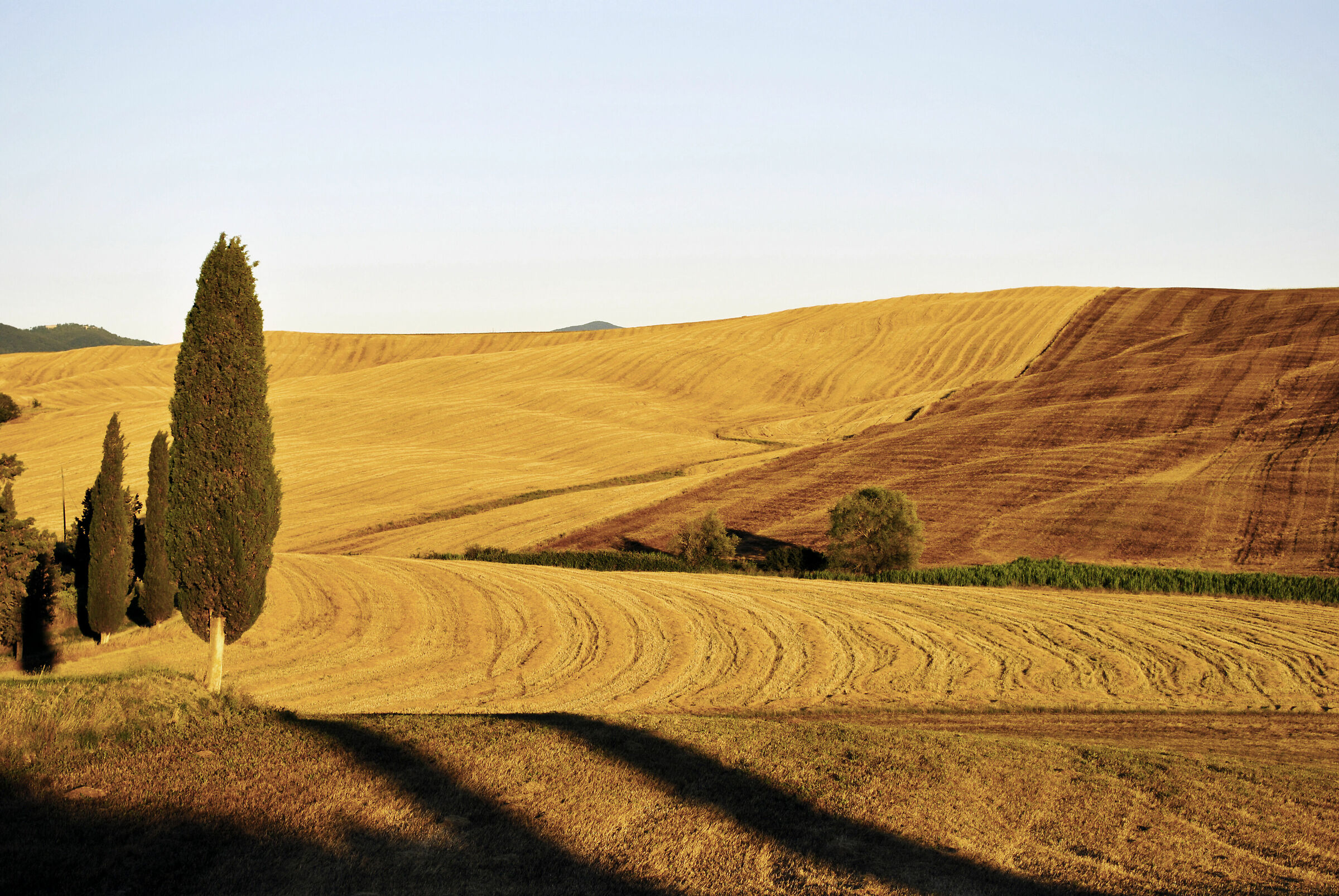 colorare la valdorcia