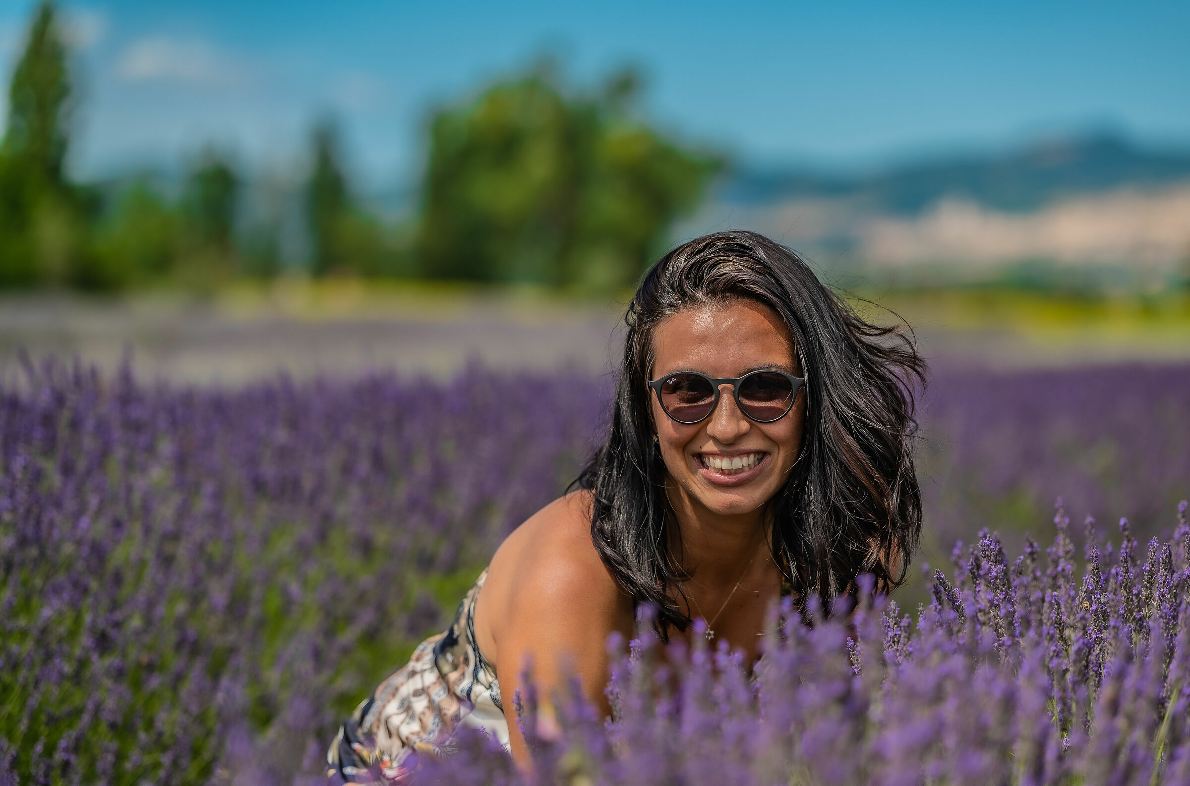 Immersi nella lavanda