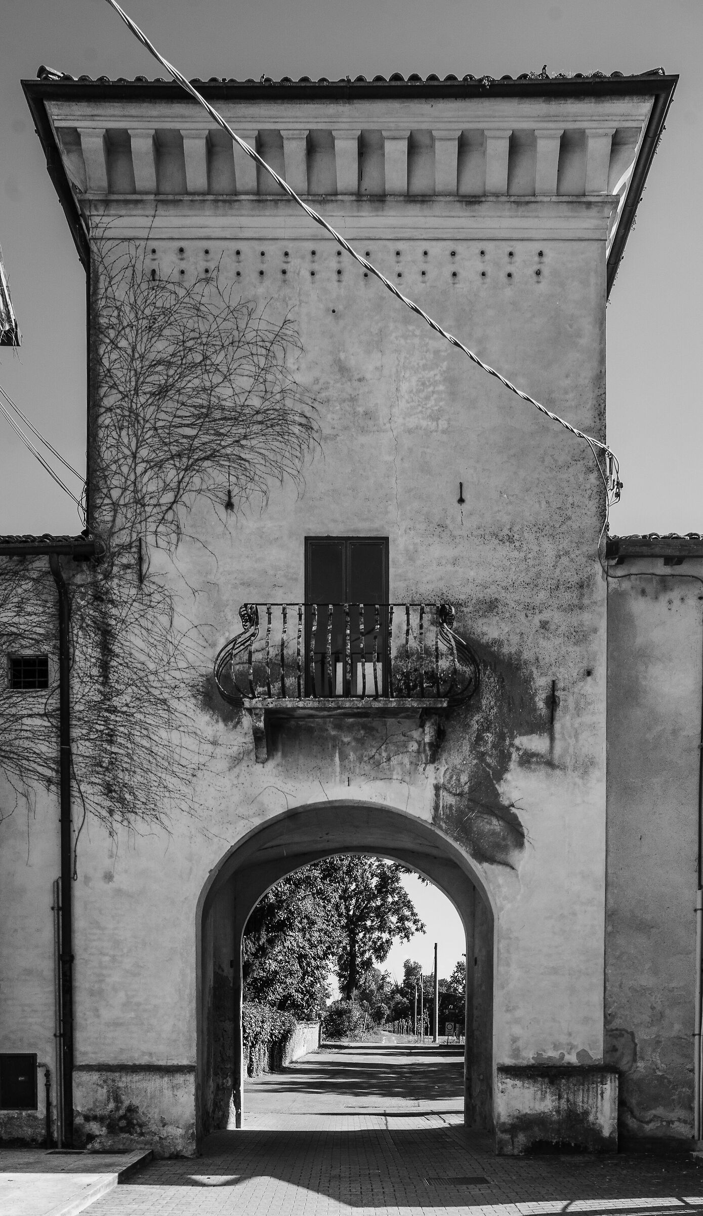 campagna bassa bresciana (particolare)