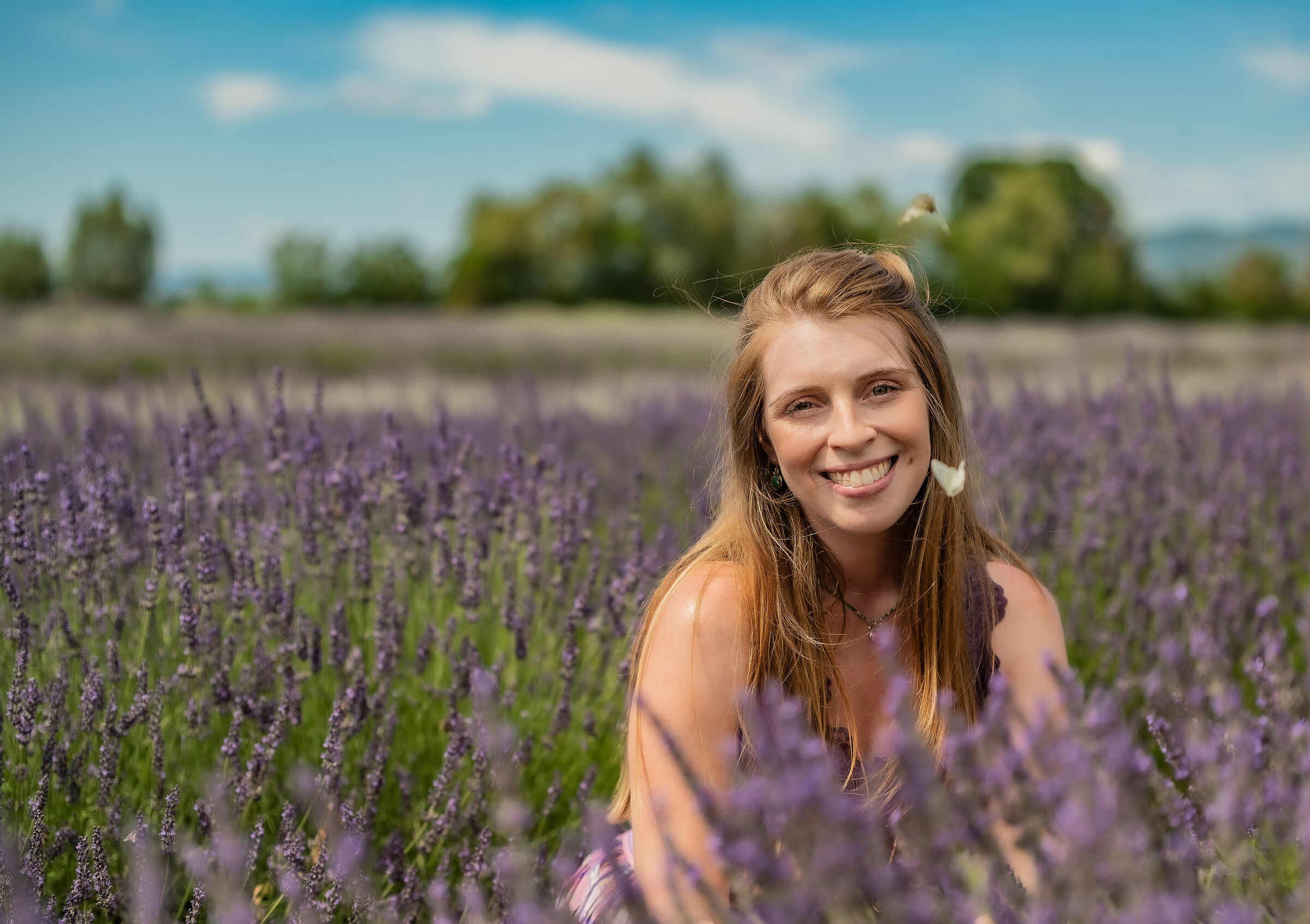 Immersi nella lavanda
