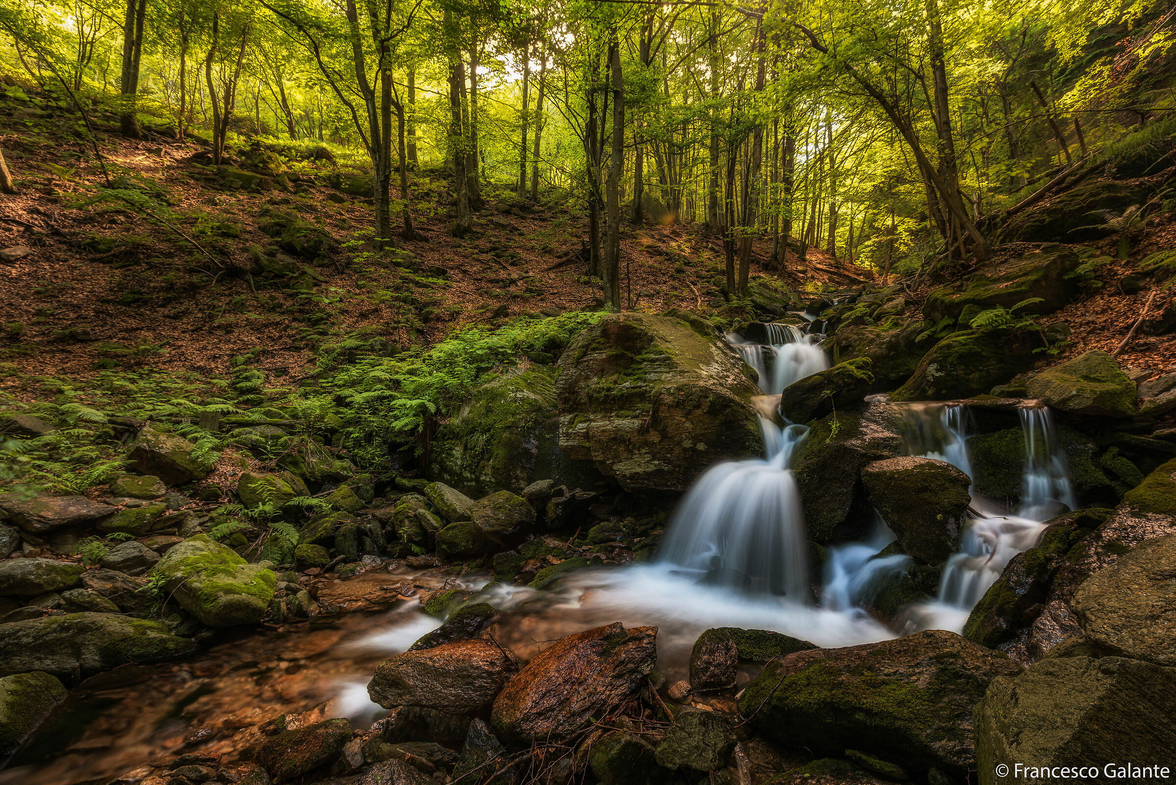 Passeggiando nel Bosco del Santuario di Oropa
