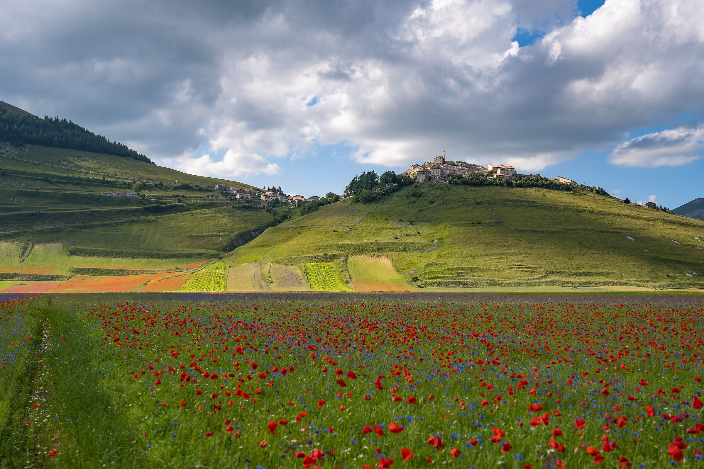 Castelluccio di Nokia 2020