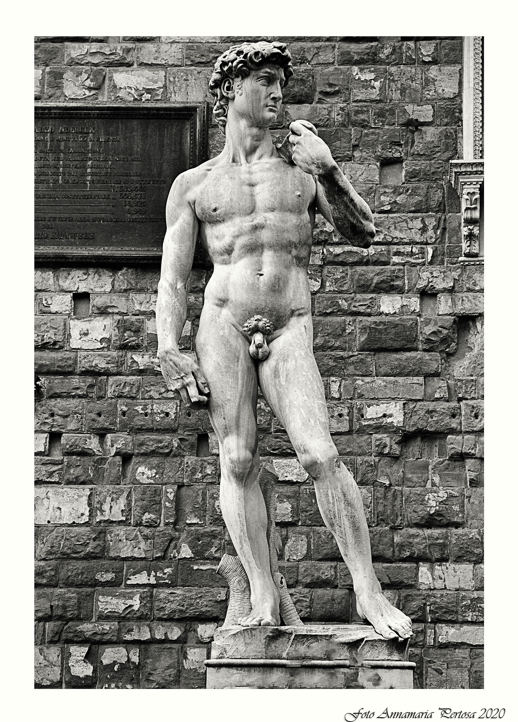 La vera storia del David di Michelangelo