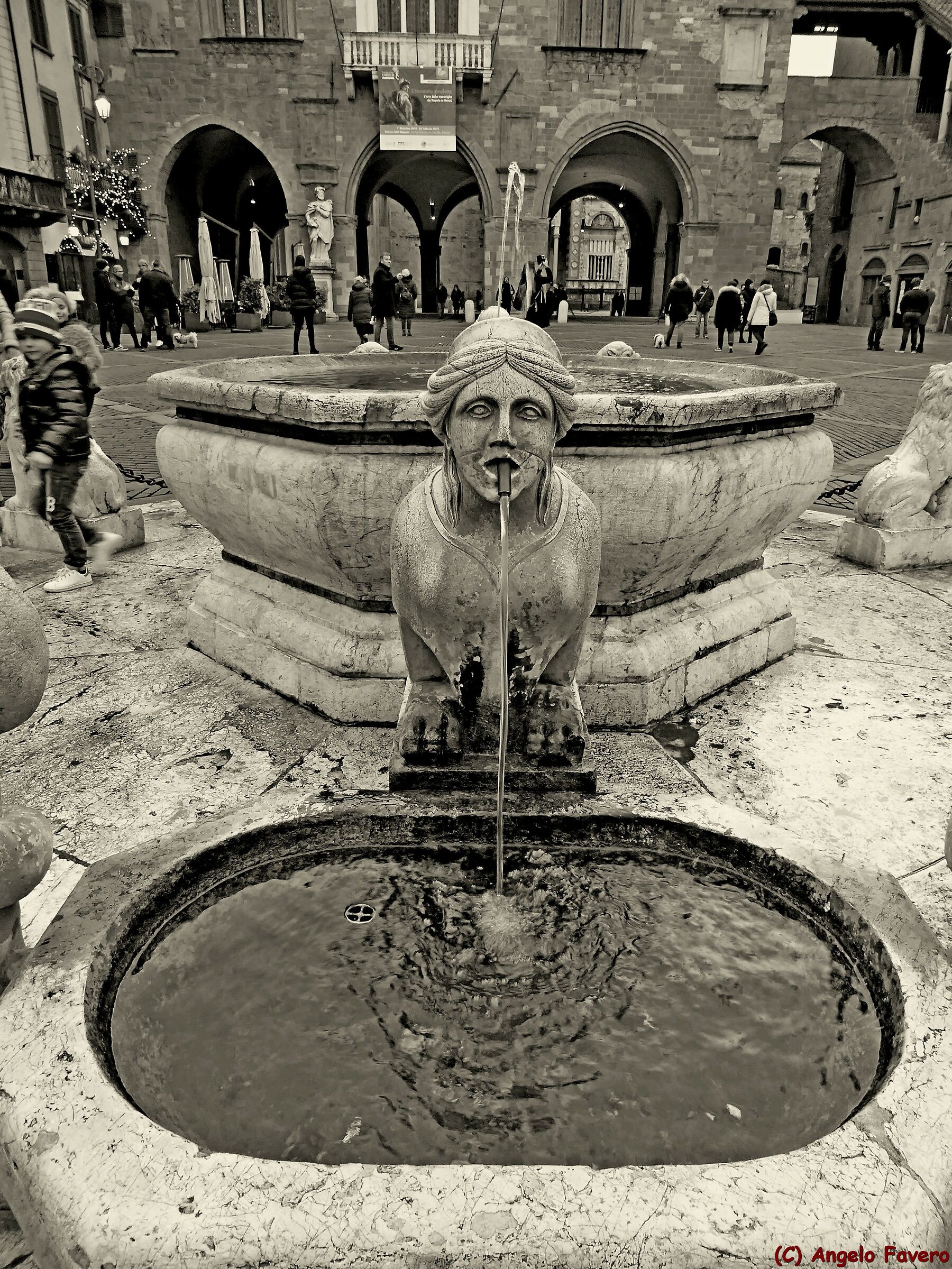 Bergamo - fontana di piazza vecchia