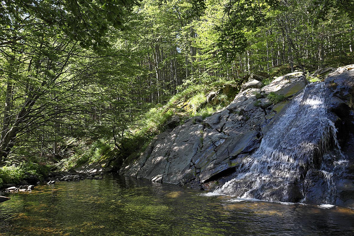 Parco dei cento Laghi