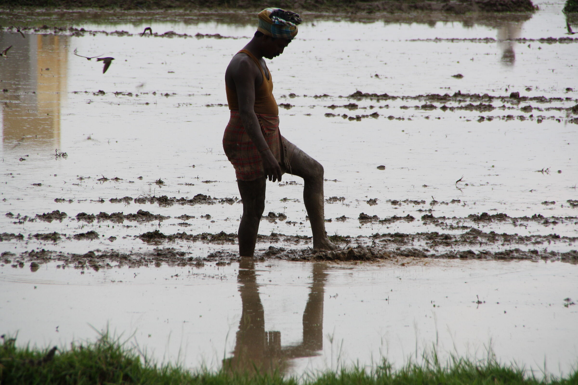 Barefoot in laughter