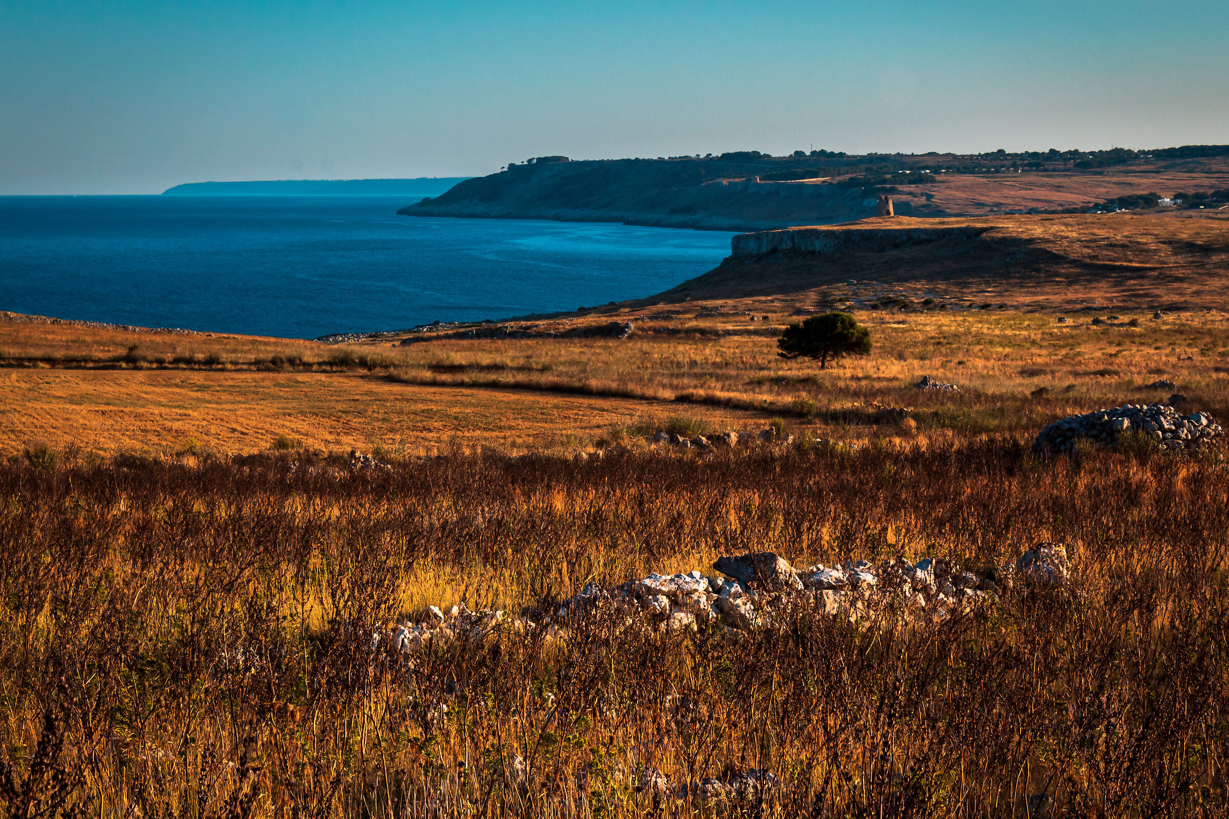 S.Emiliano Tower Landscape