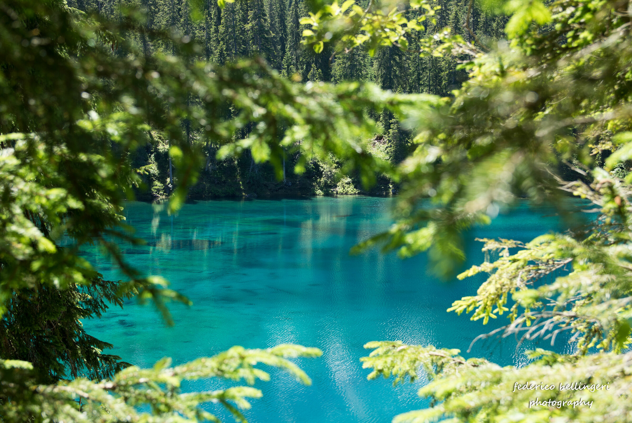 caressing lake - particular