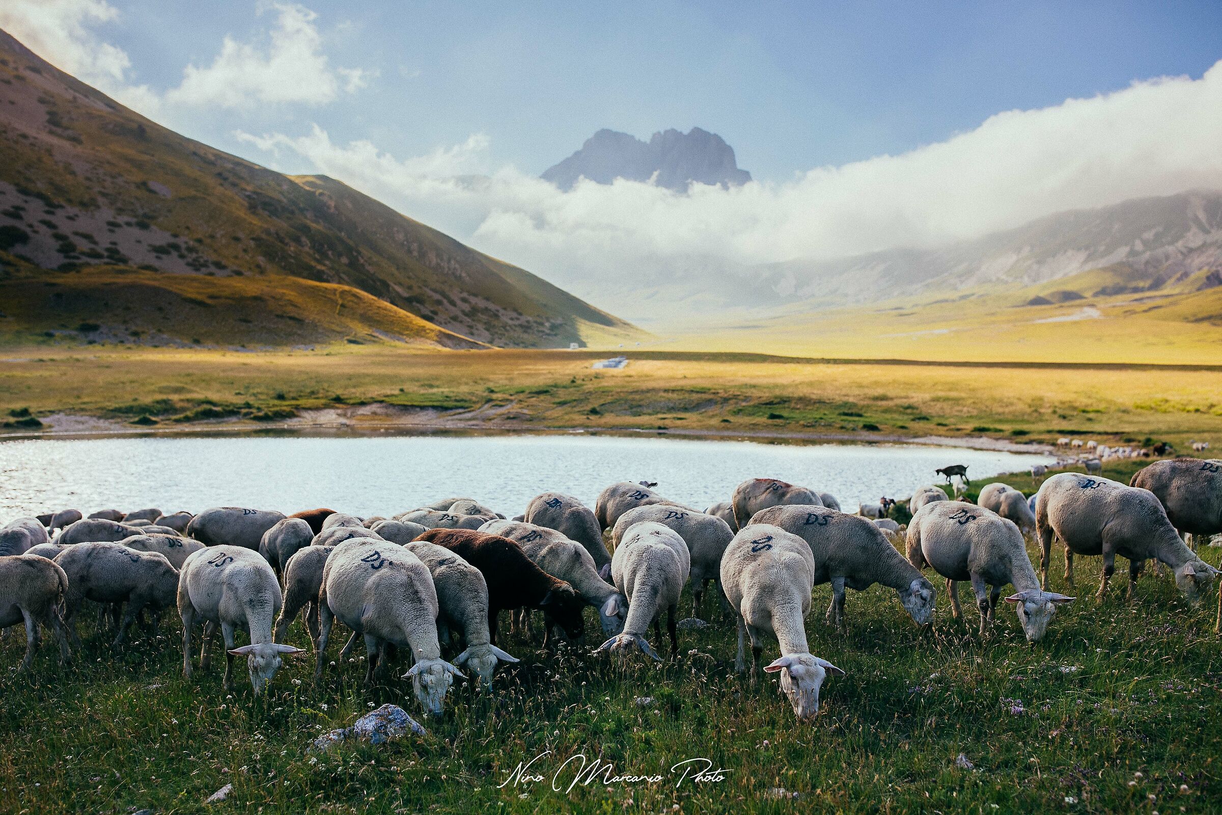 Lake Pietranzoni - Emperor Field