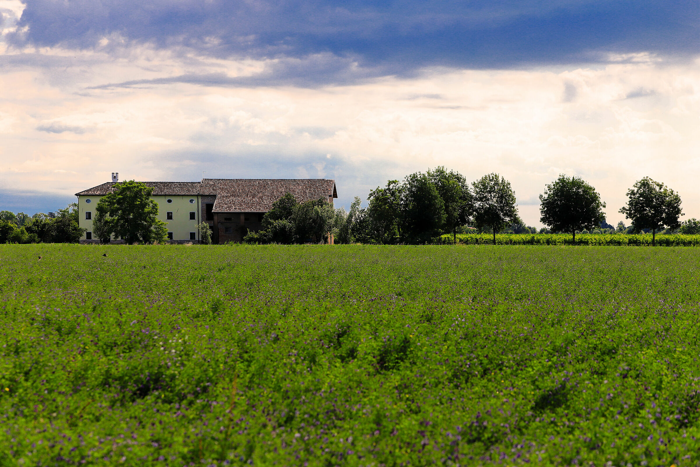 La casa nella prateria