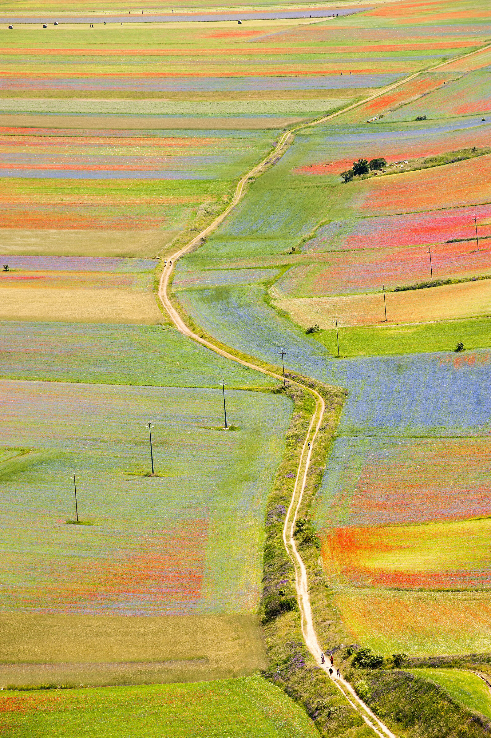 Castelluccio: La via dei colori