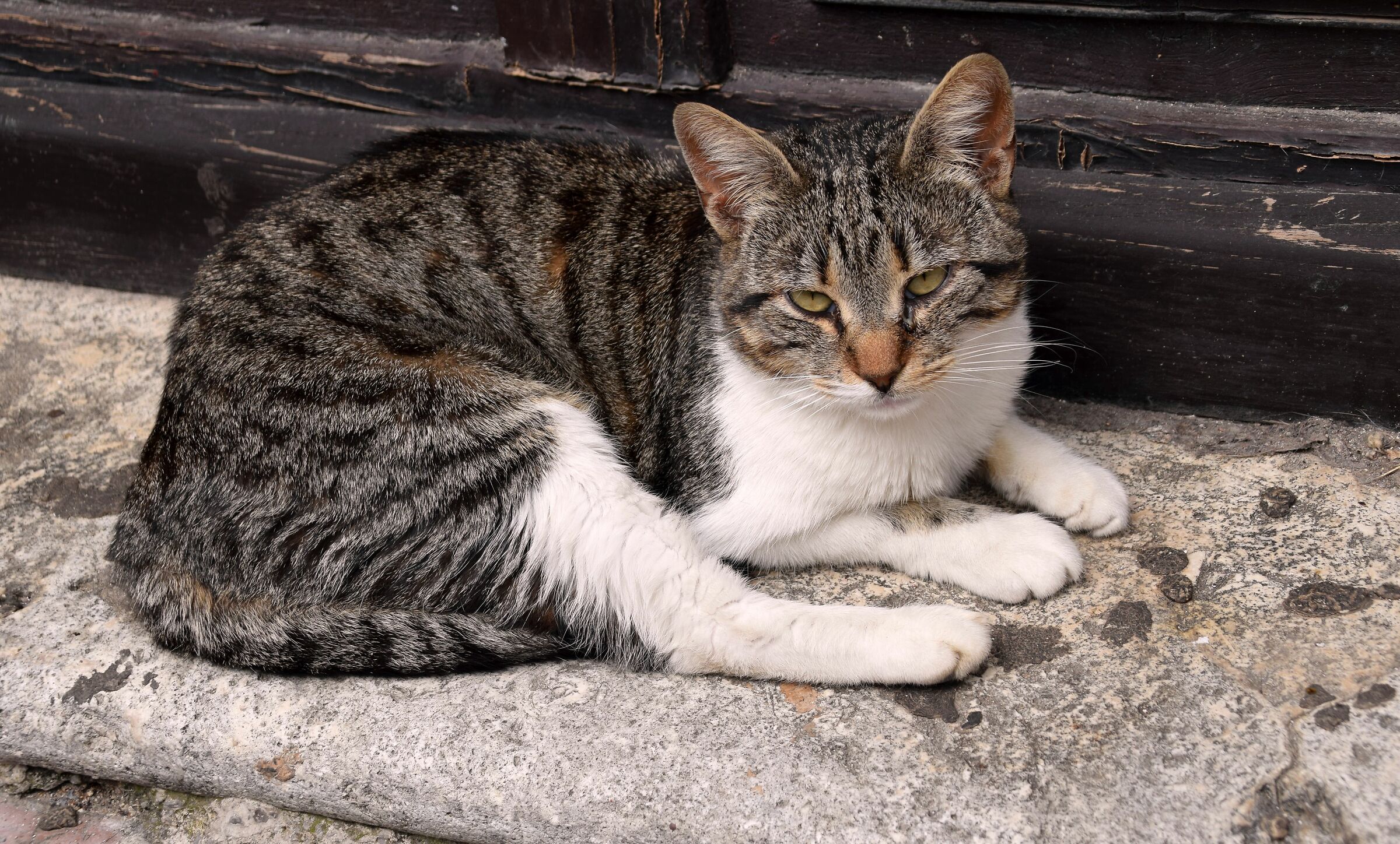 Ho un po' di malinconia.....