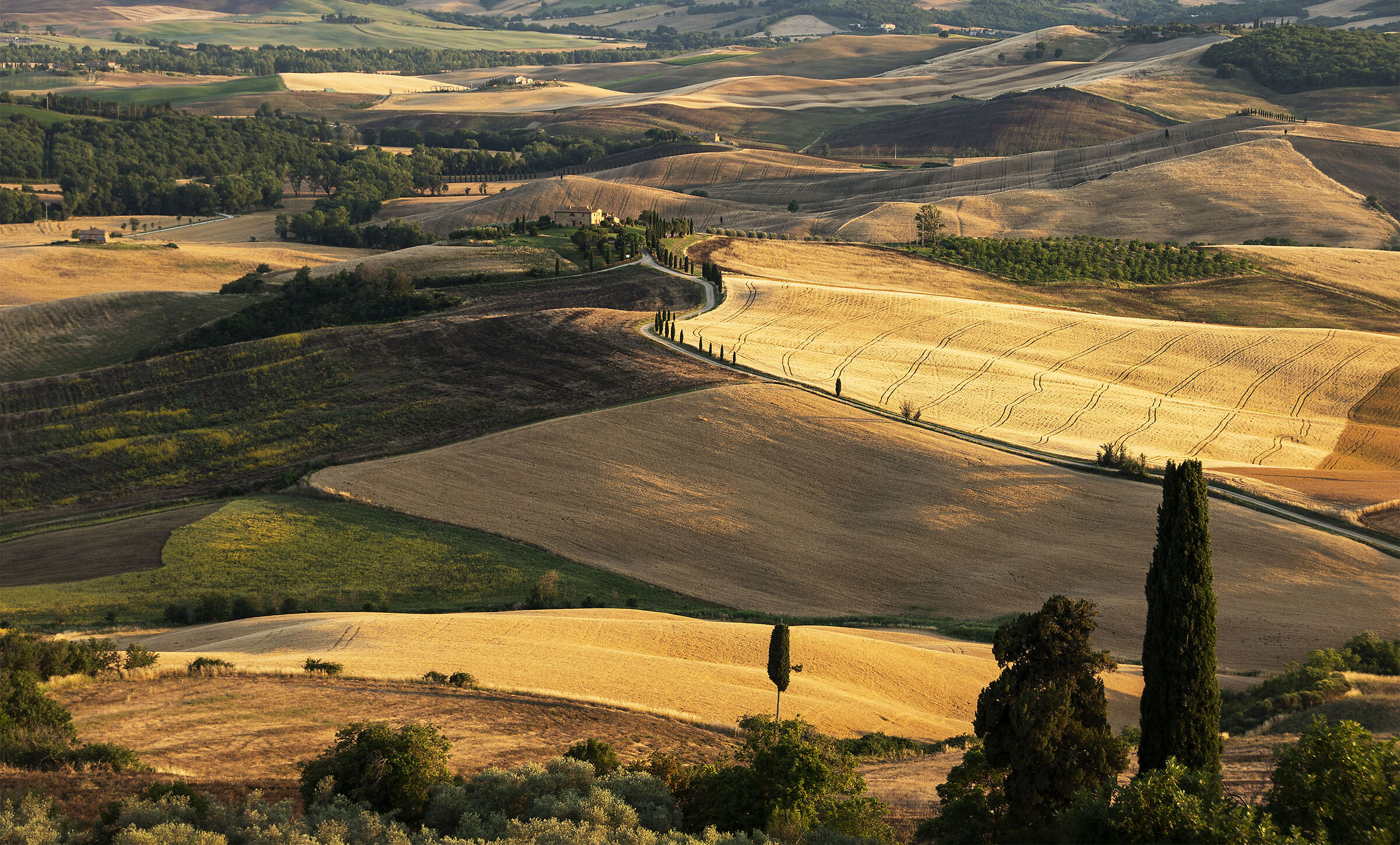 La val d'Orcia vista da Pienza