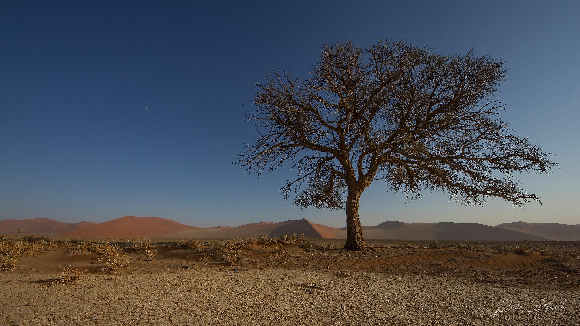 Namib Desert