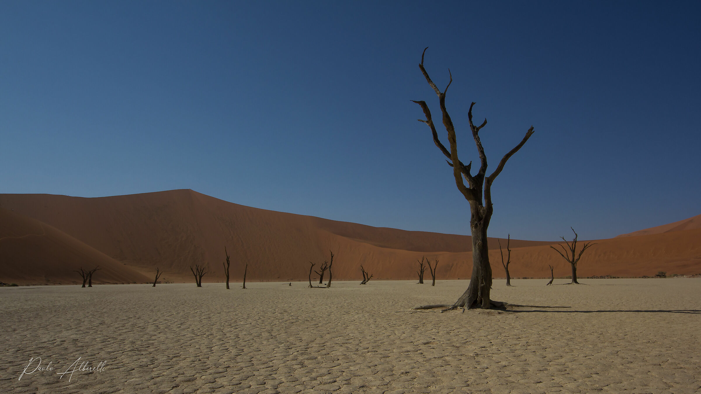 Deadvlei People
